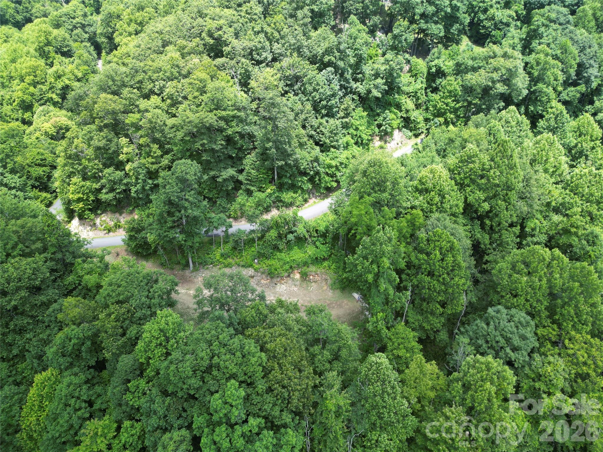175 Renegade Ridge Property Photo 11