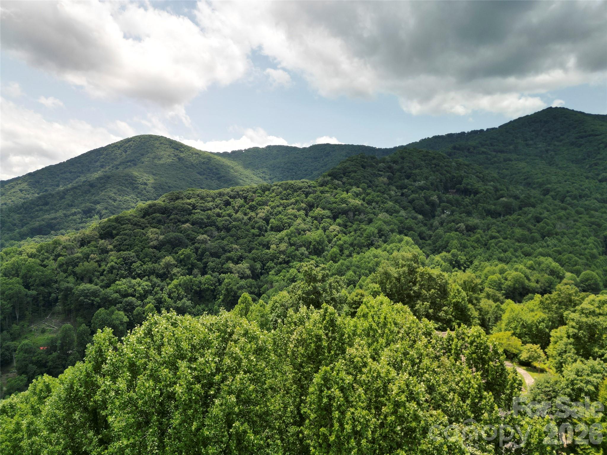 175 Renegade Ridge Property Photo 16