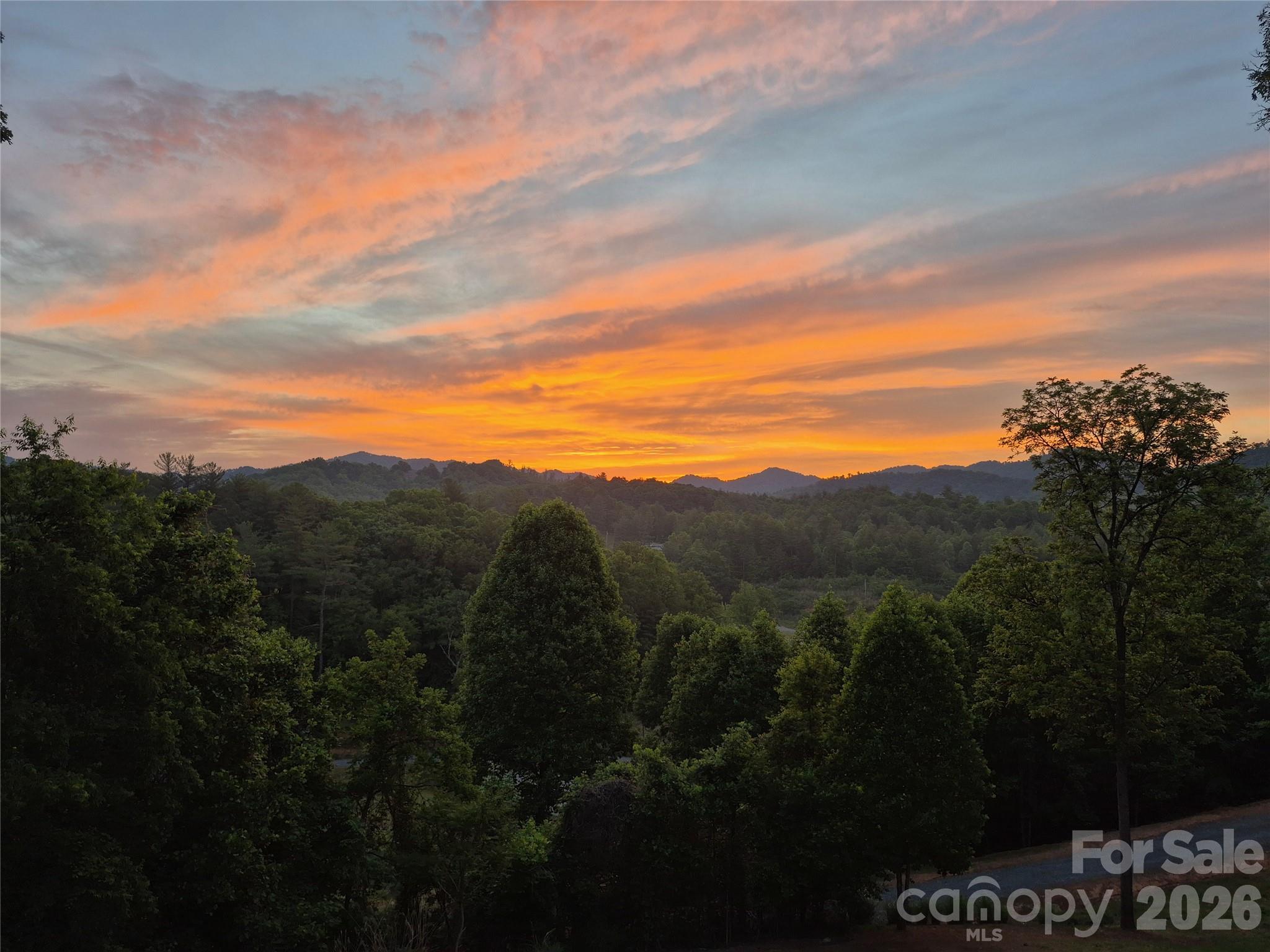 143 Fox Grape Hollow Road Property Photo 2