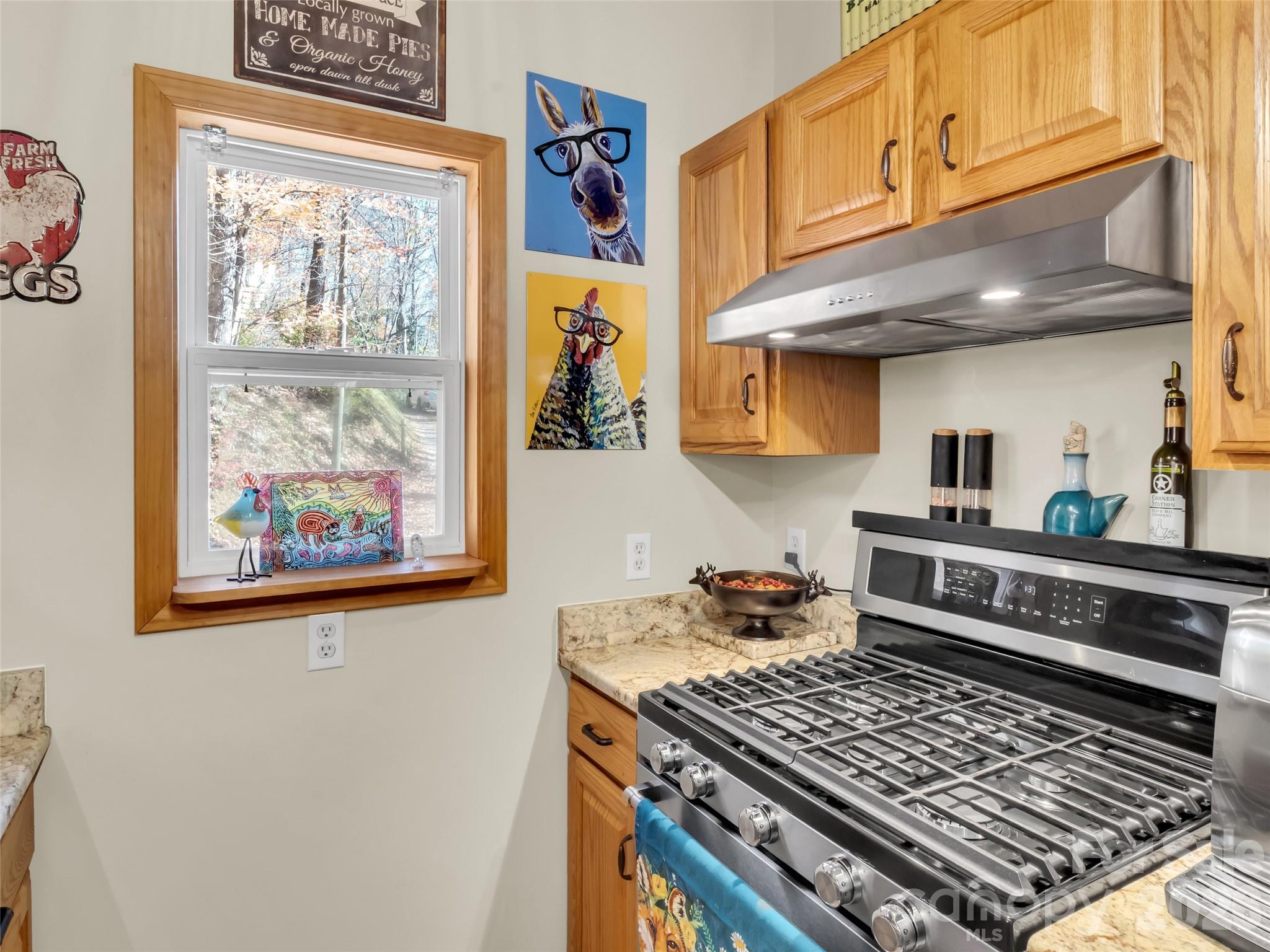 245 Greenview Drive Property Photo 11