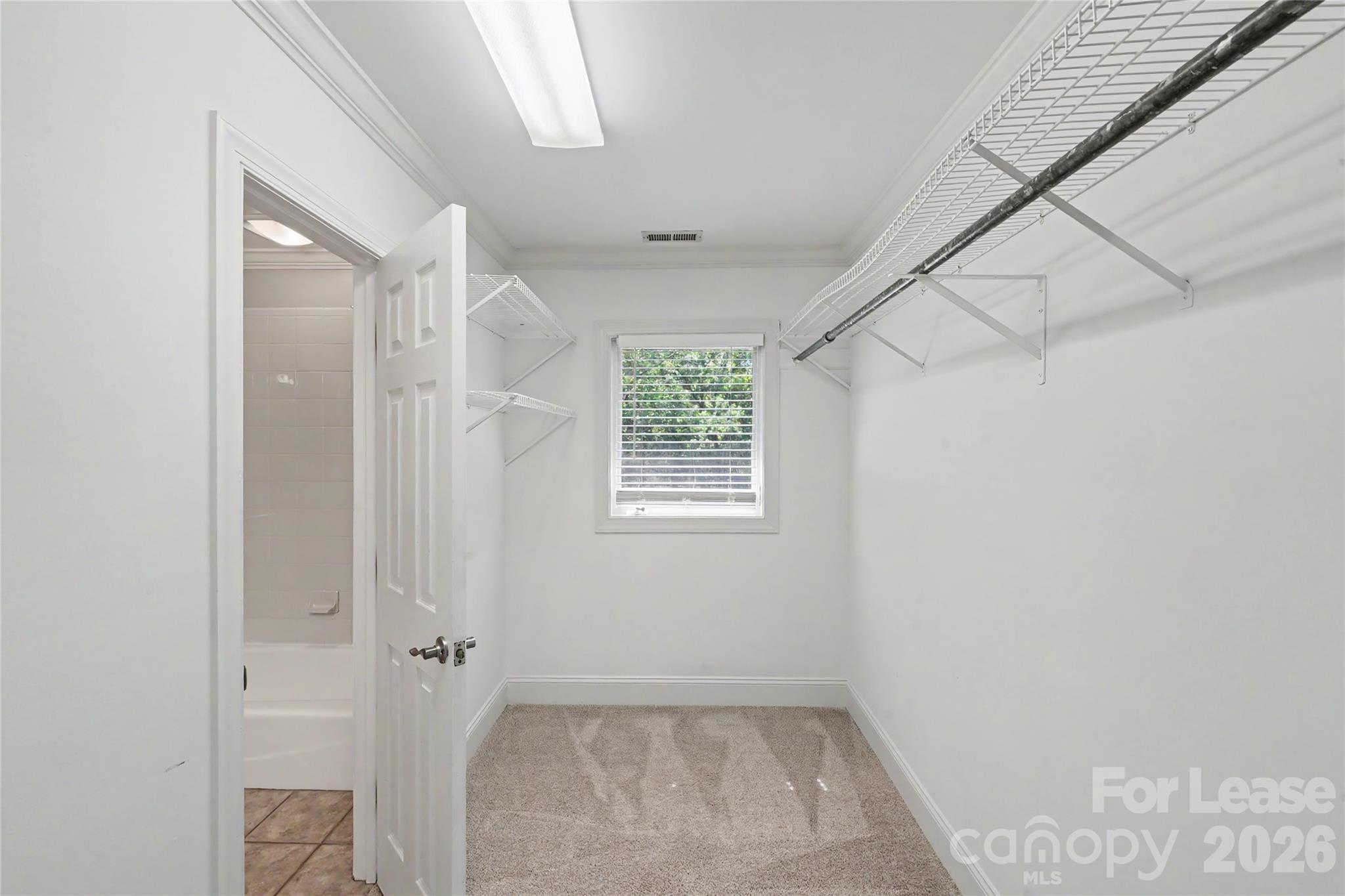 2545 Rea Road Property Photo 43