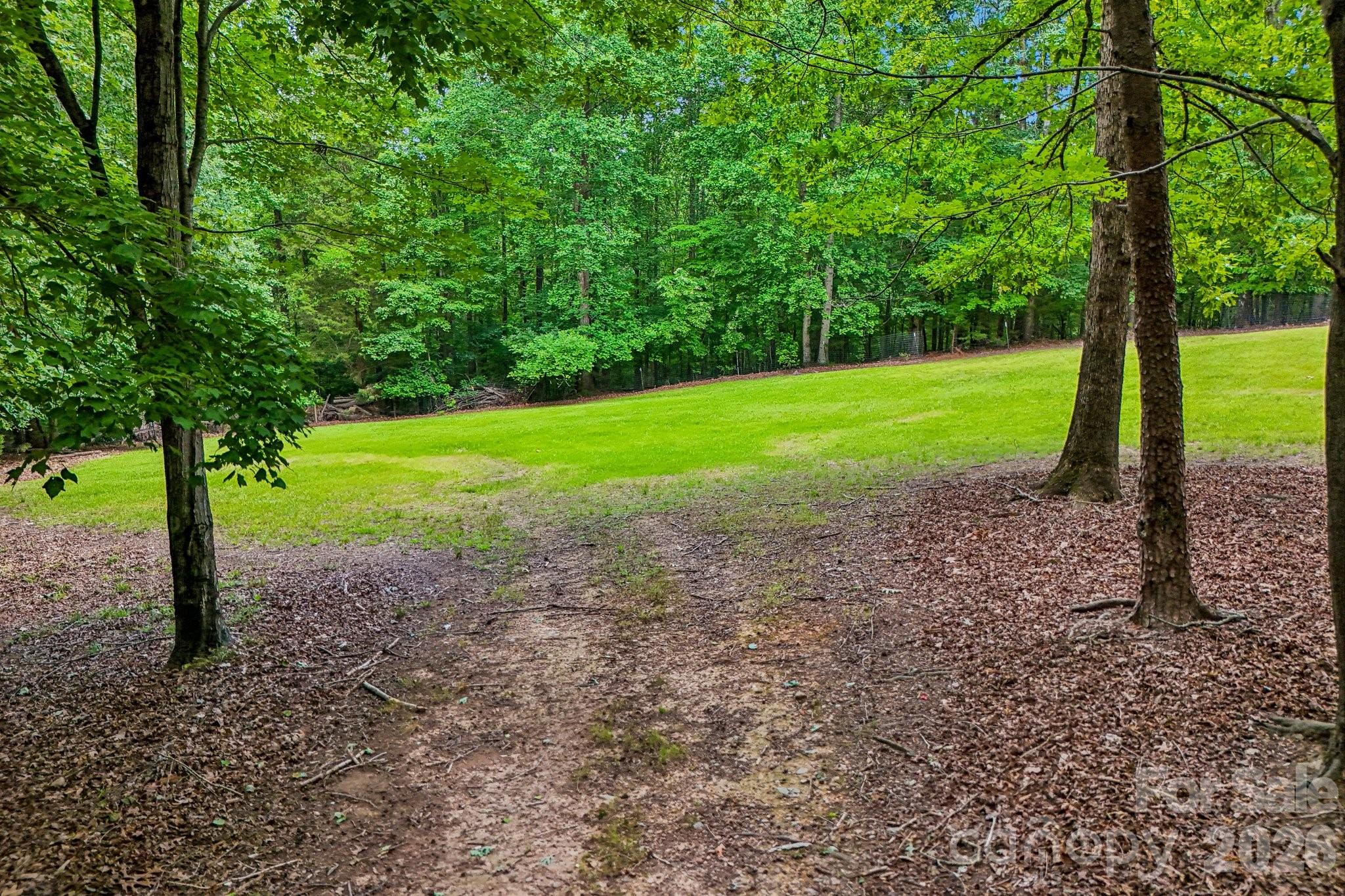 6366 Green Oak Drive Property Photo 5