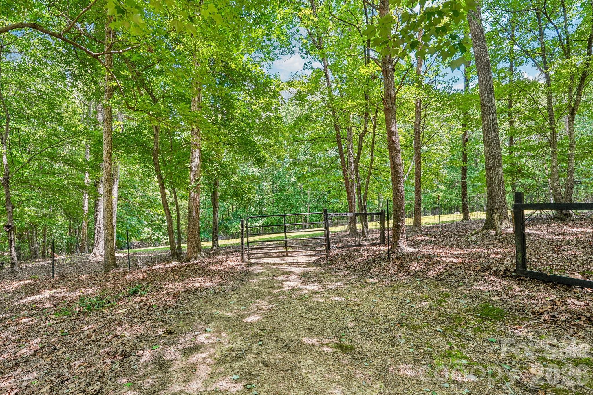 6366 Green Oak Drive Property Photo 6