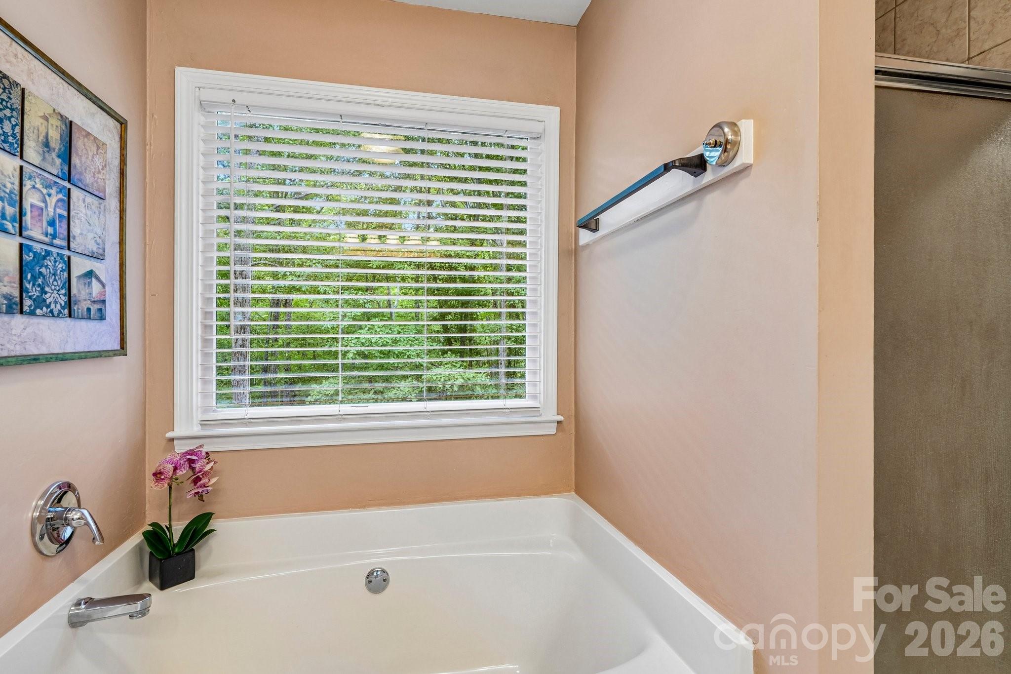 6366 Green Oak Drive Property Photo 31