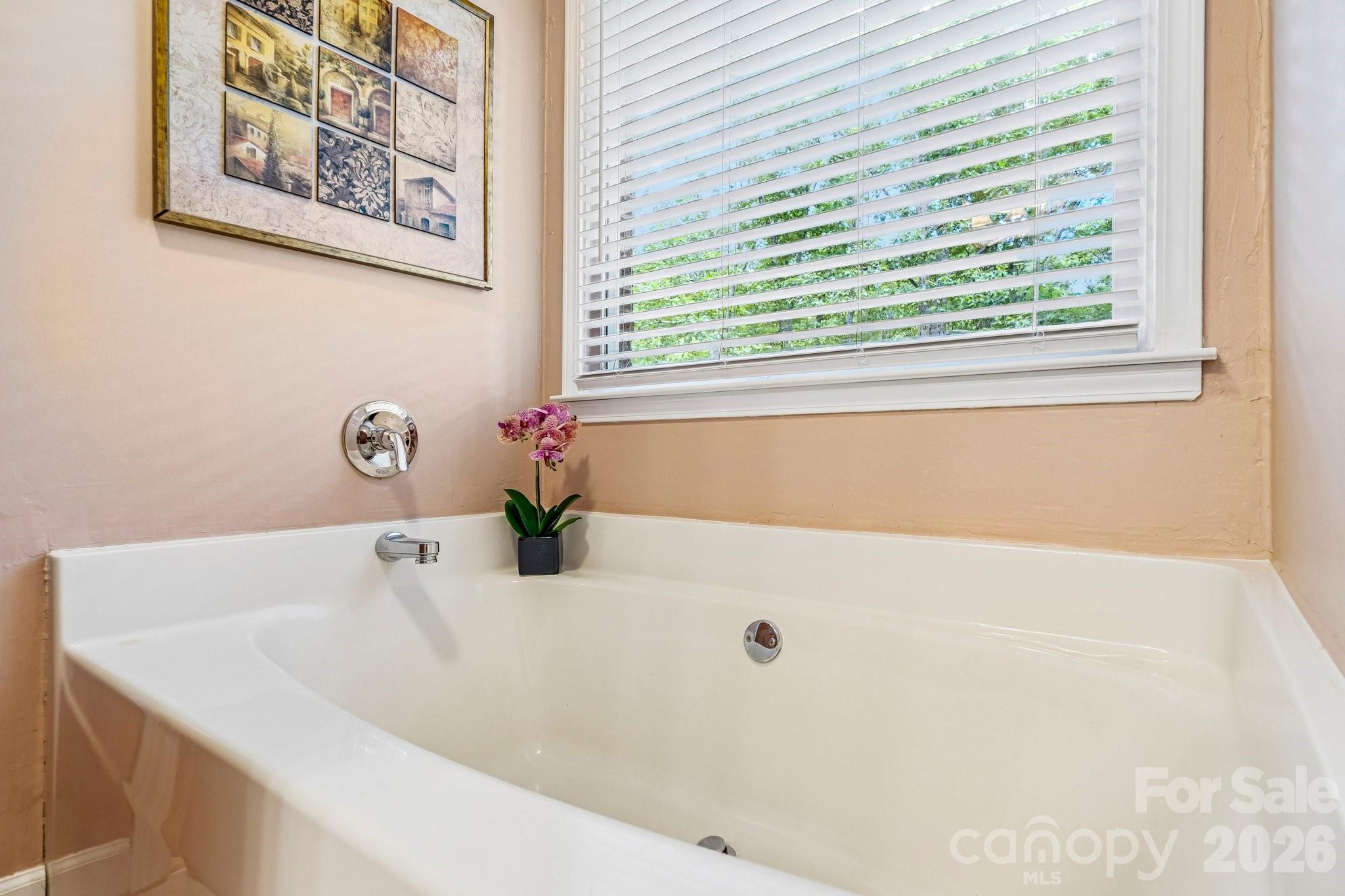 6366 Green Oak Drive Property Photo 33