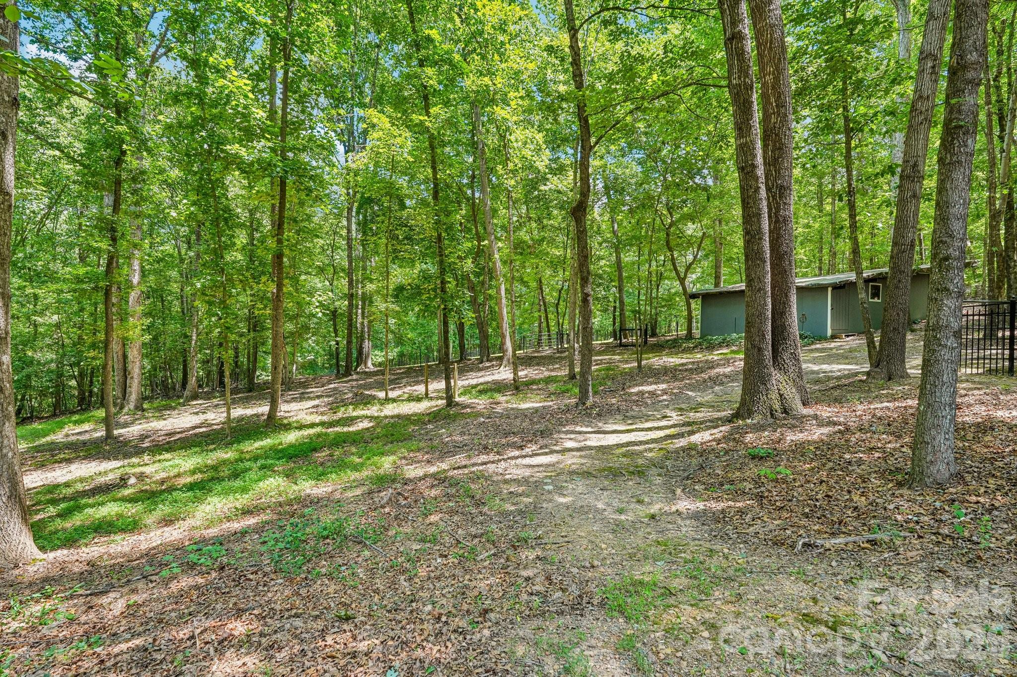 6366 Green Oak Drive Property Photo 43