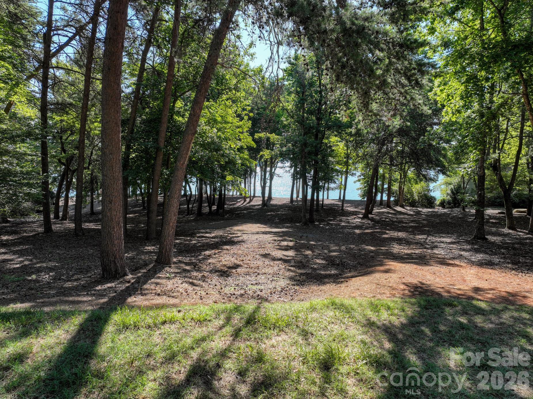 163 Flint Ridge Trail Property Photo 5