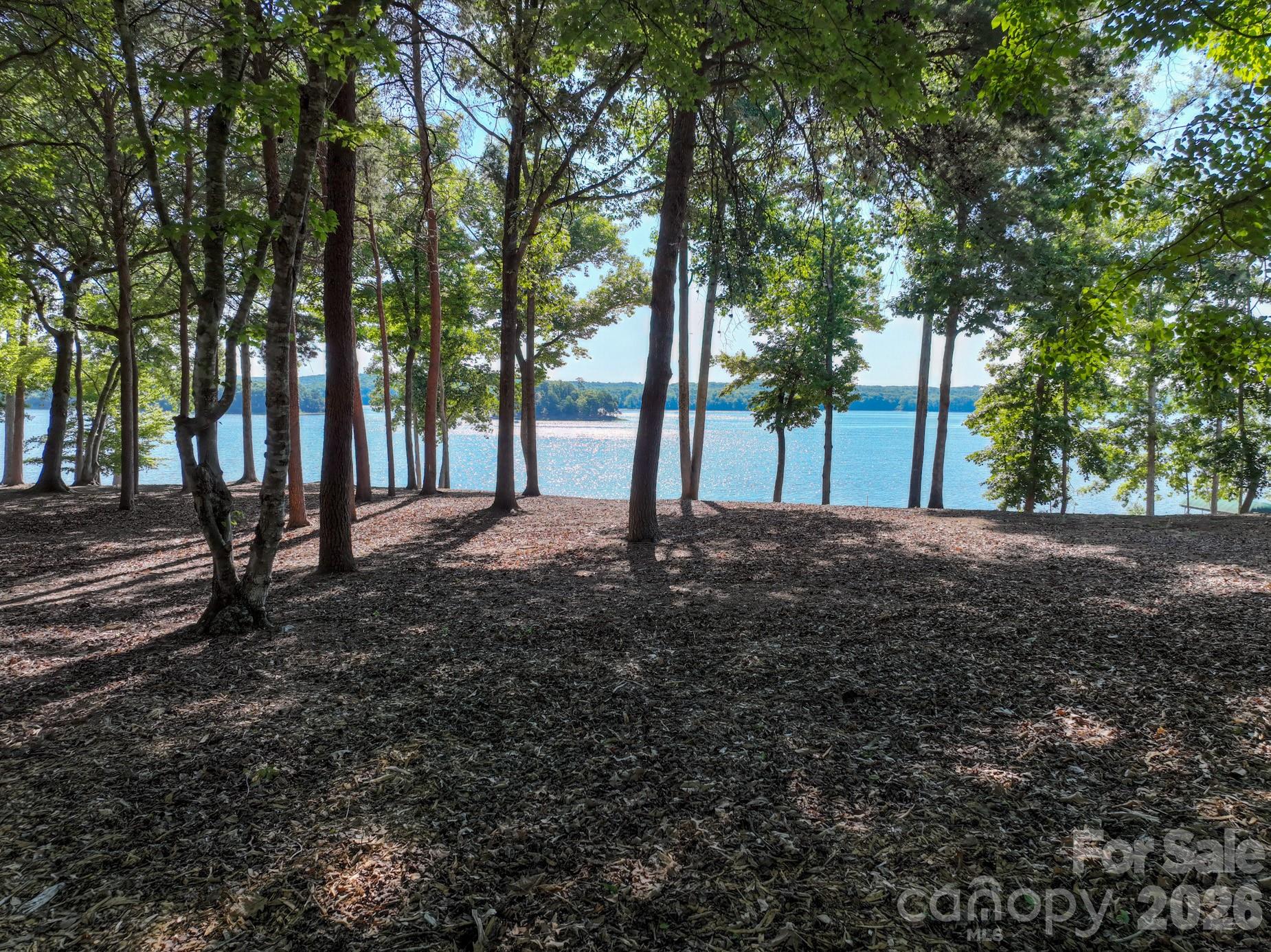 163 Flint Ridge Trail Property Photo 8