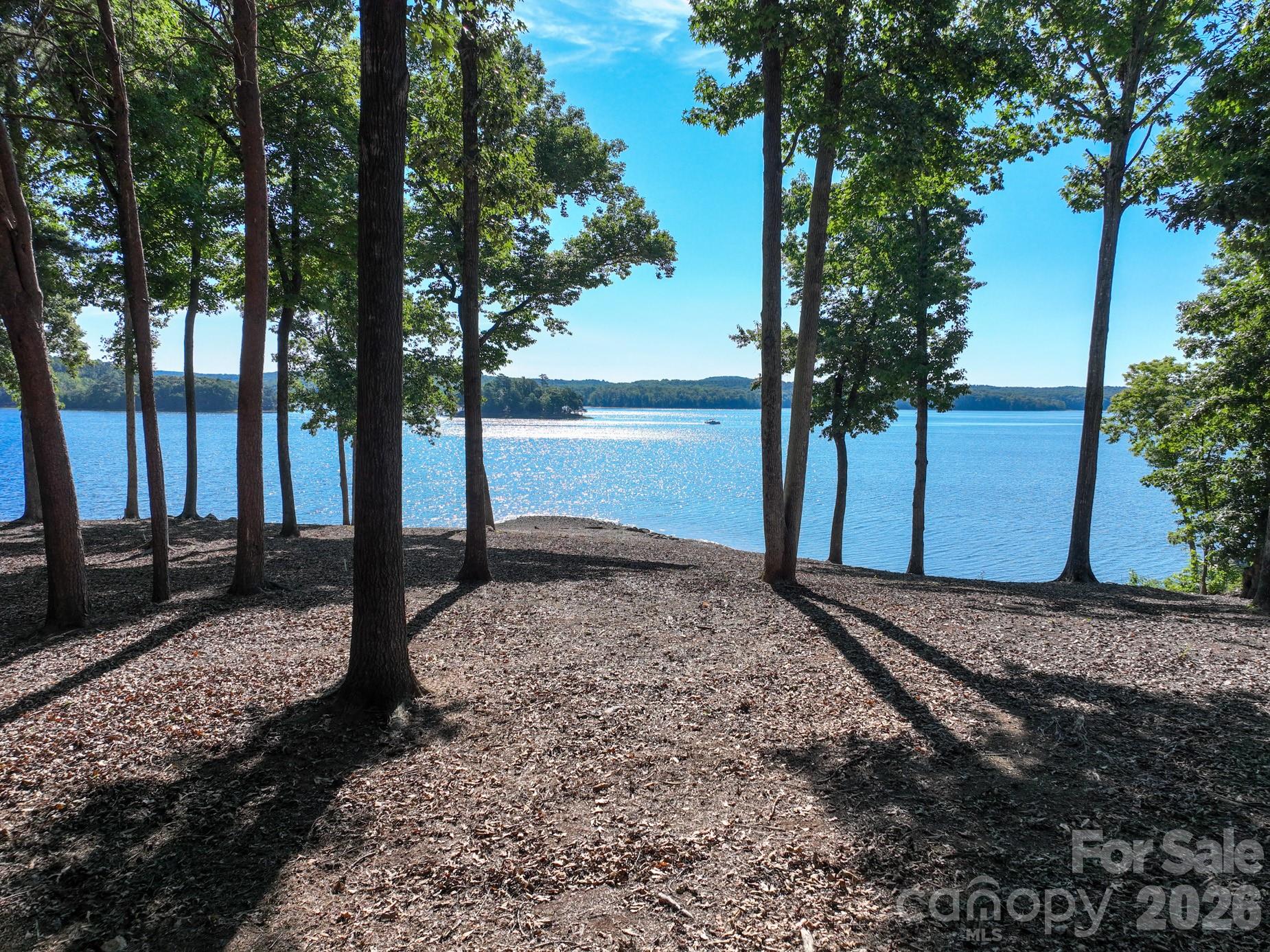 163 Flint Ridge Trail Property Photo 9