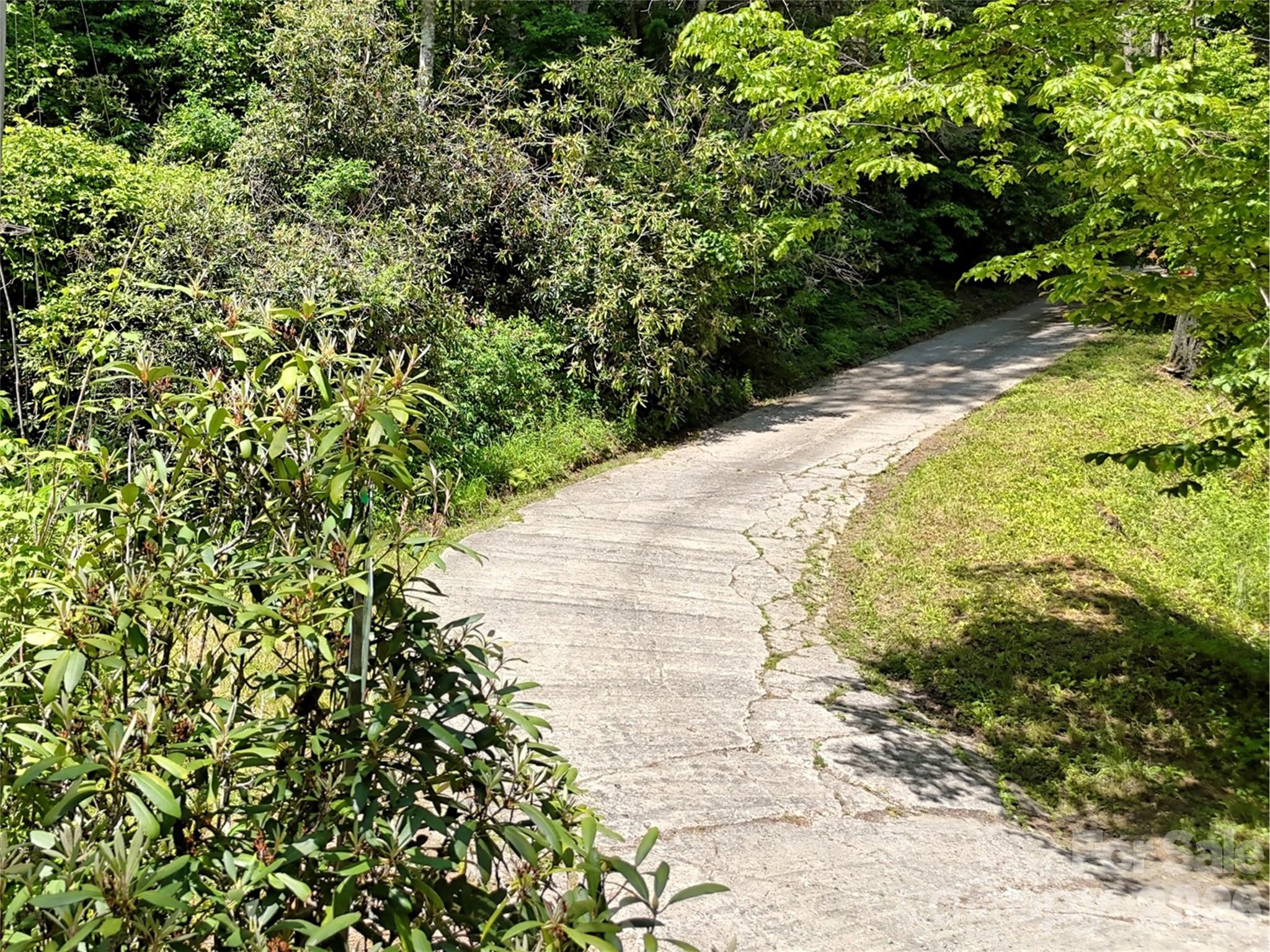 000 Enchanted Forest Drive 1 Property Photo 6
