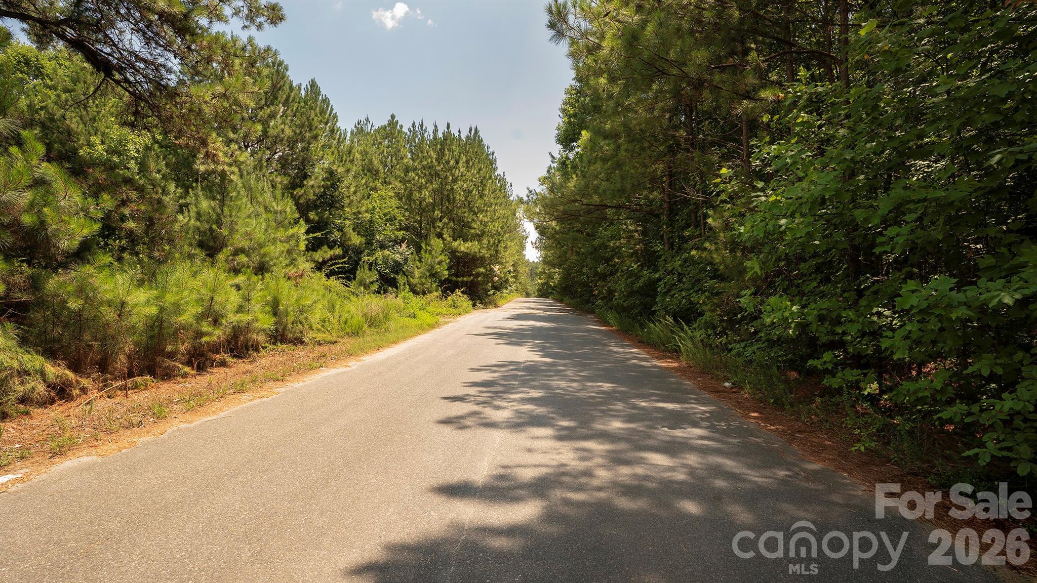8169 Raccoon Track Drive Property Photo 10