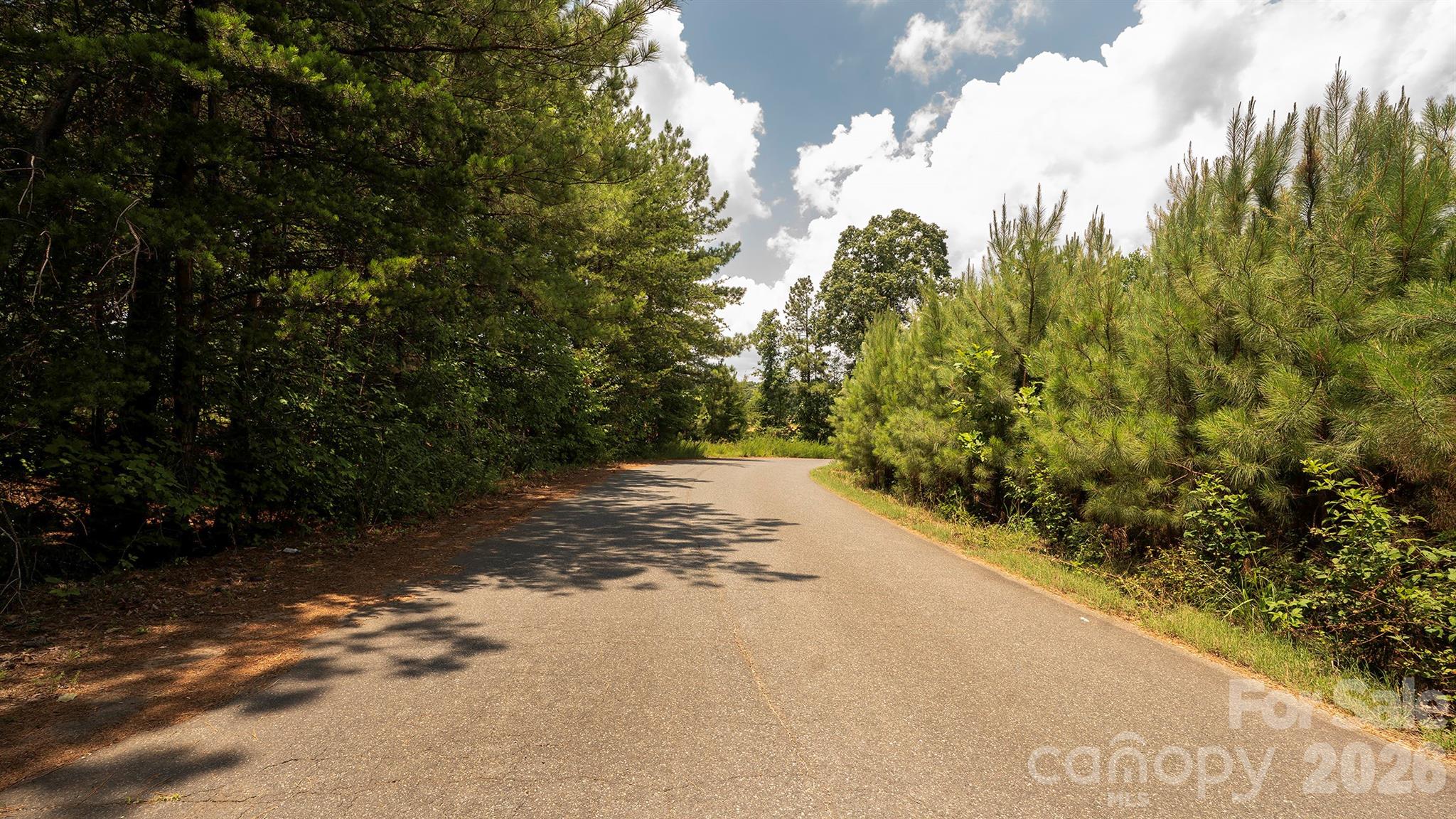 8169 Raccoon Track Drive Property Photo 14