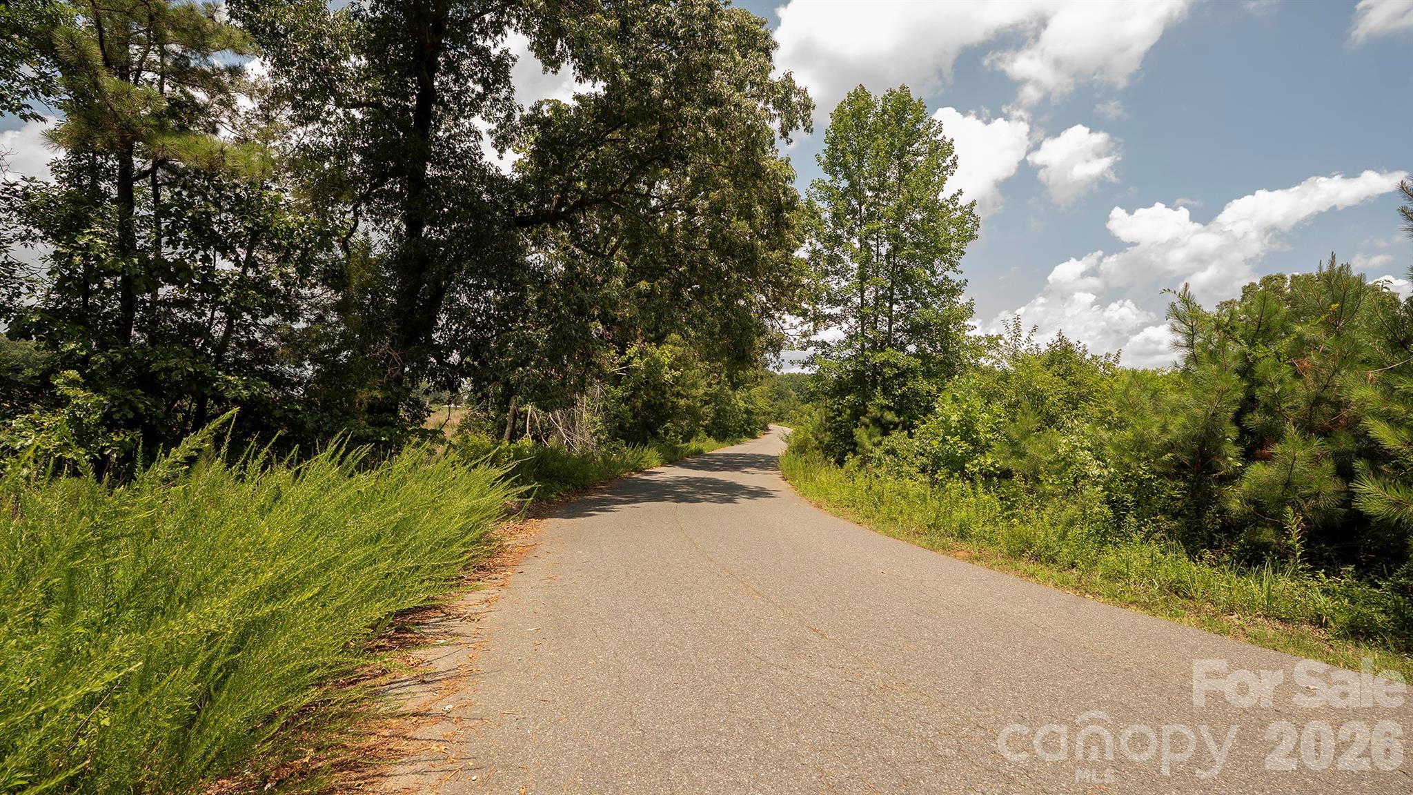 8169 Raccoon Track Drive Property Photo 15
