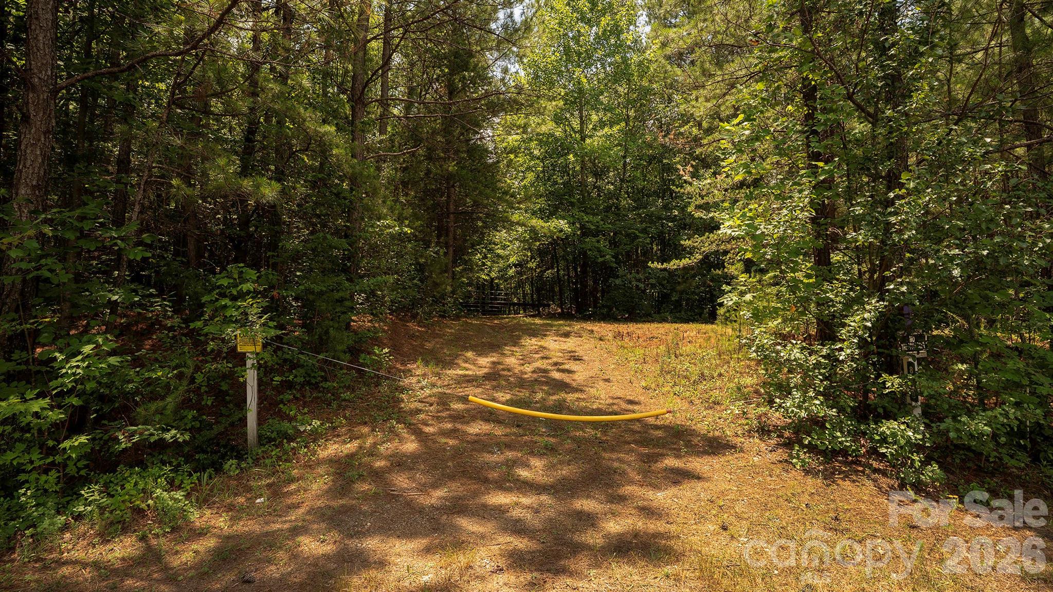 8169 Raccoon Track Drive Property Photo 16
