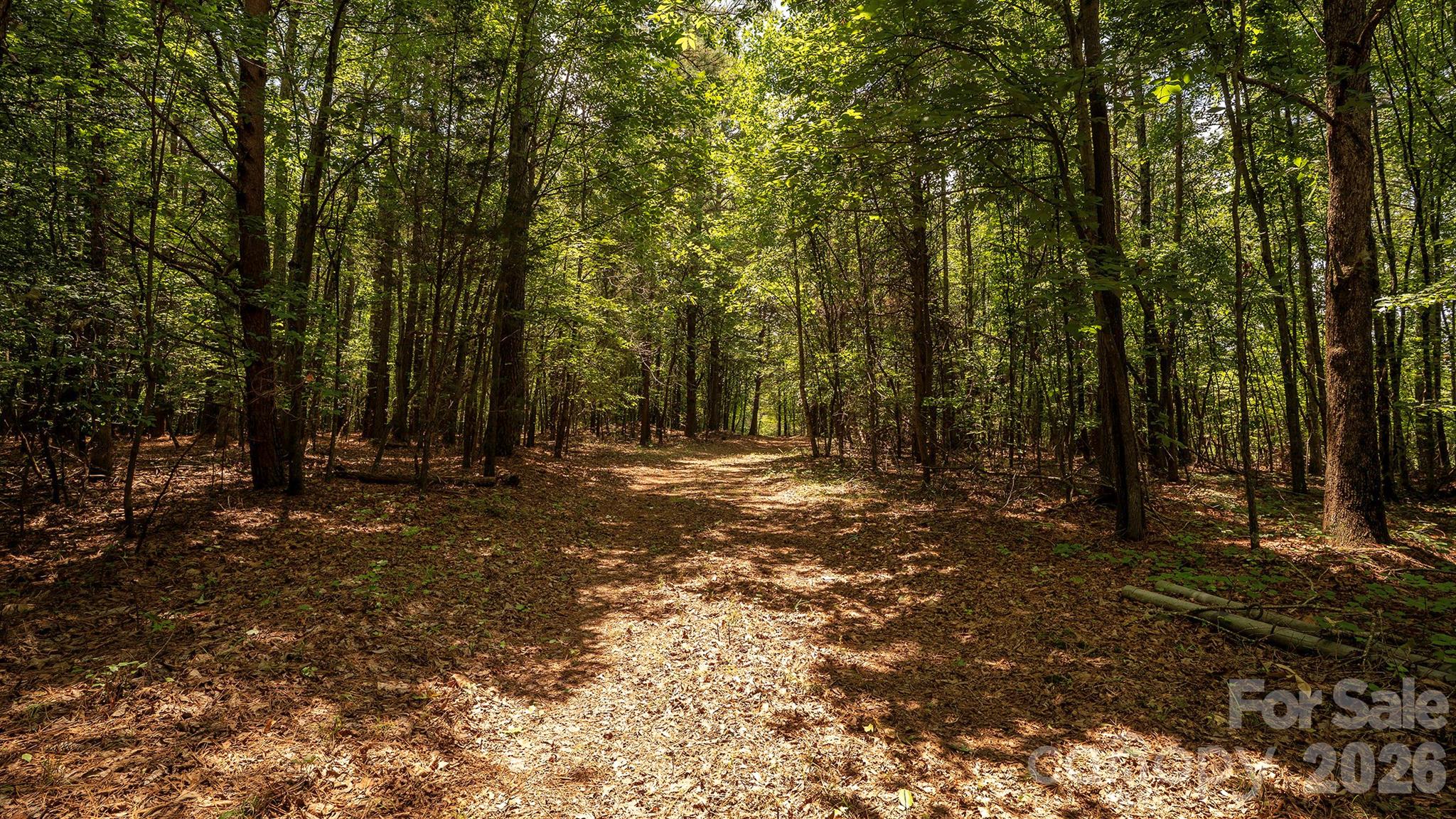 8169 Raccoon Track Drive Property Photo 17