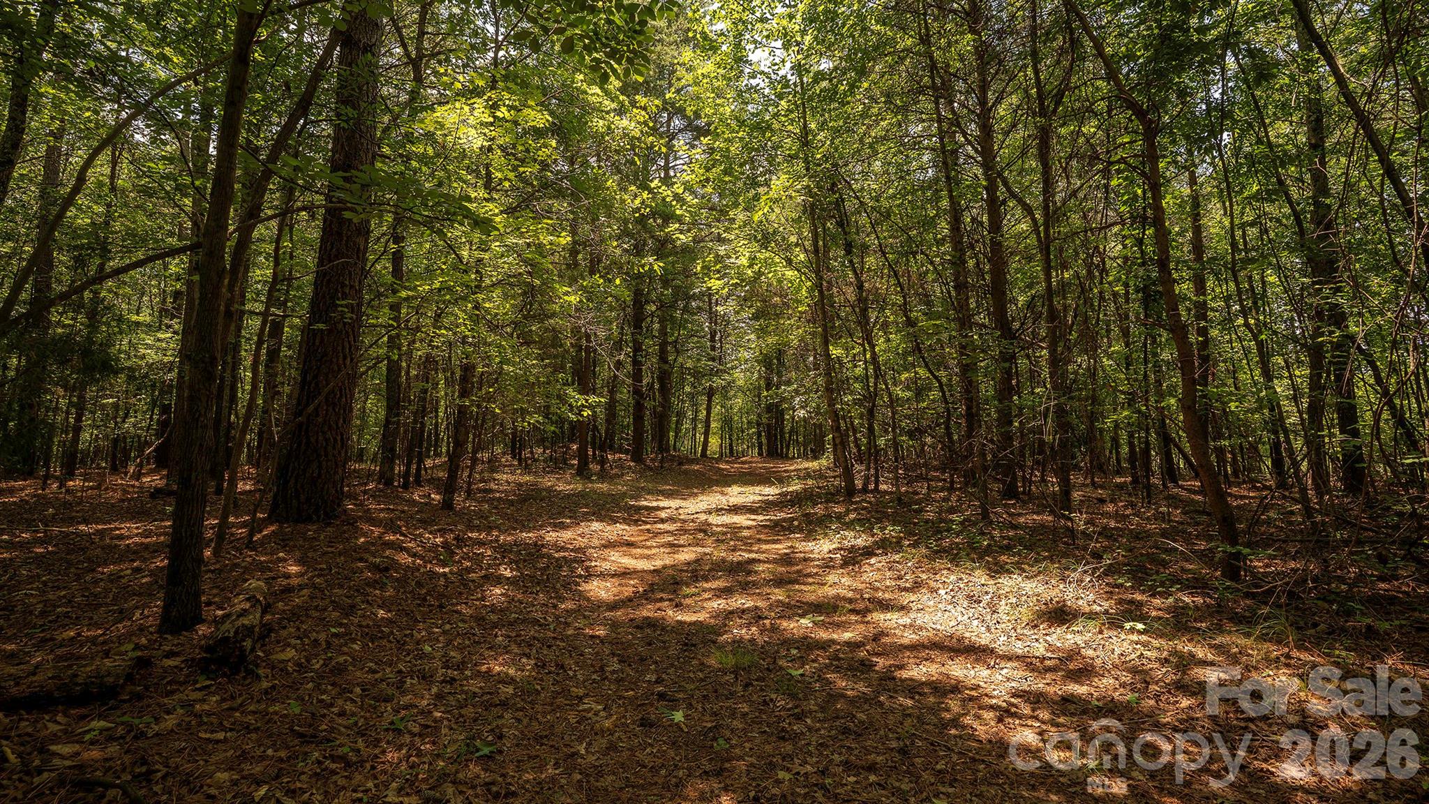 8169 Raccoon Track Drive Property Photo 18