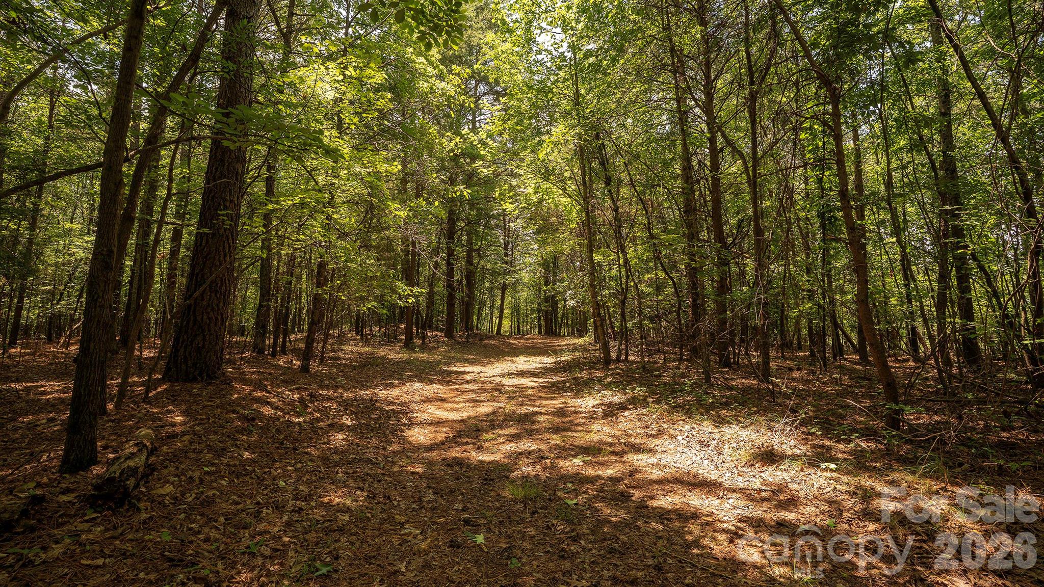8169 Raccoon Track Drive Property Photo 19