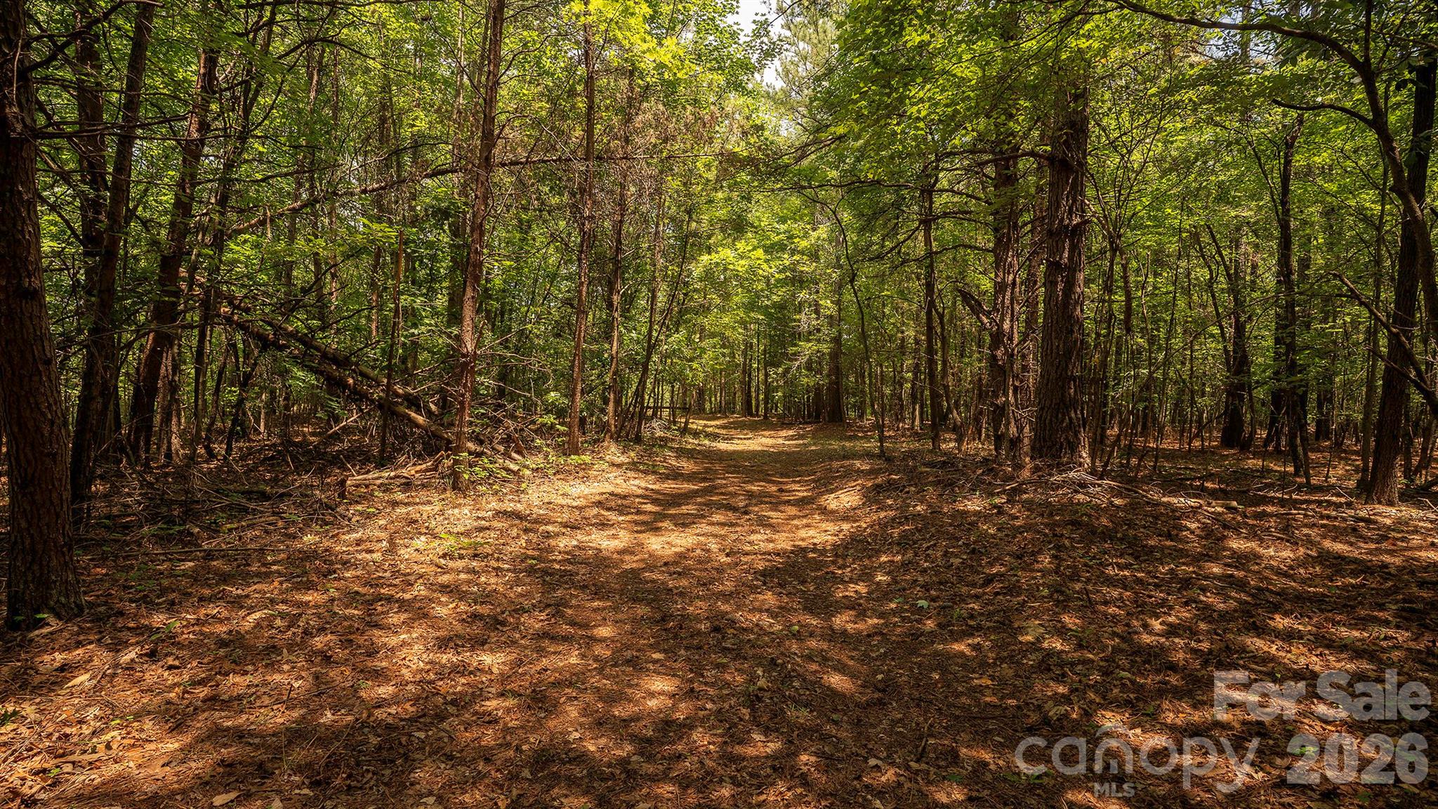8169 Raccoon Track Drive Property Photo 20
