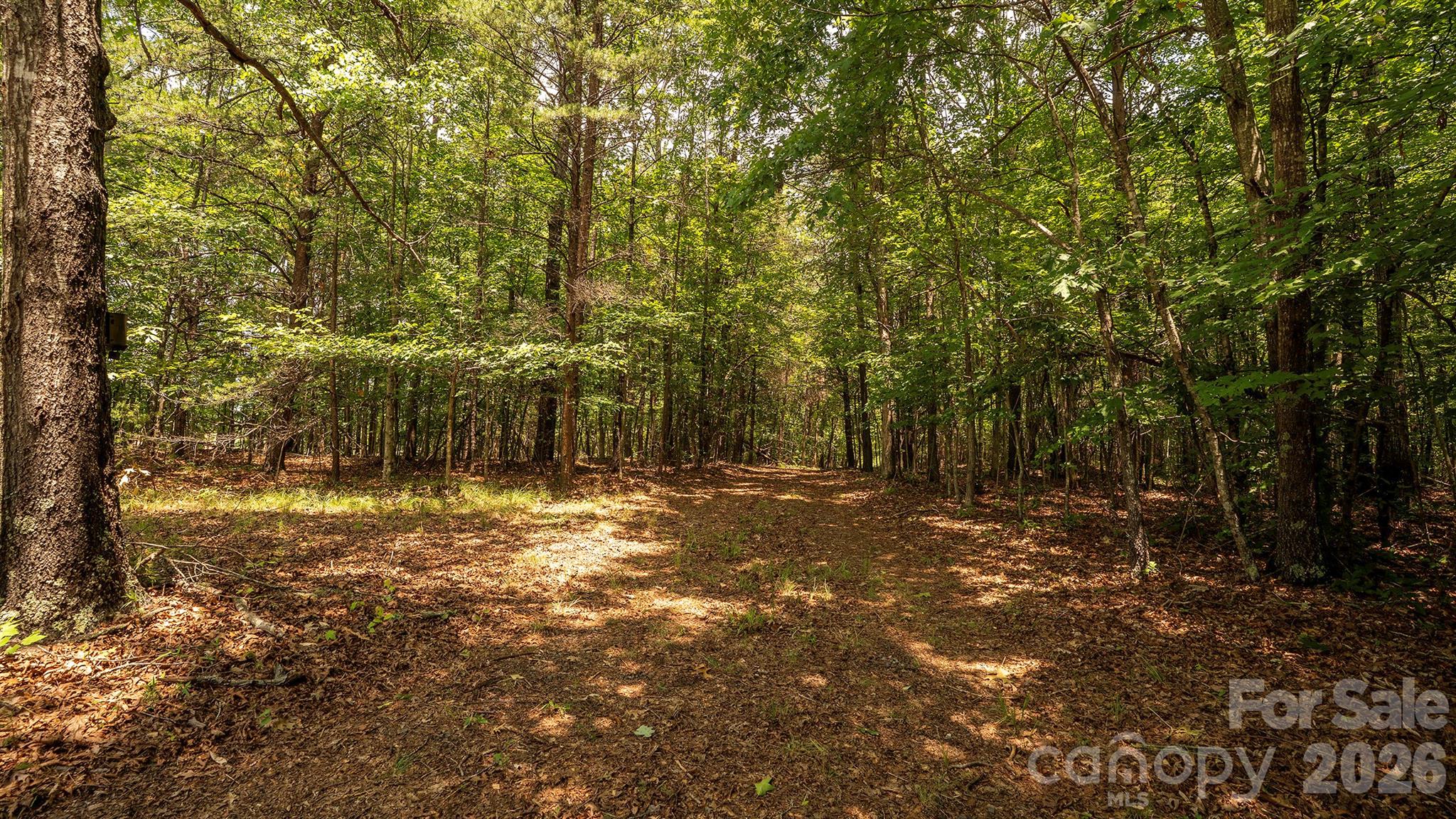8169 Raccoon Track Drive Property Photo 21