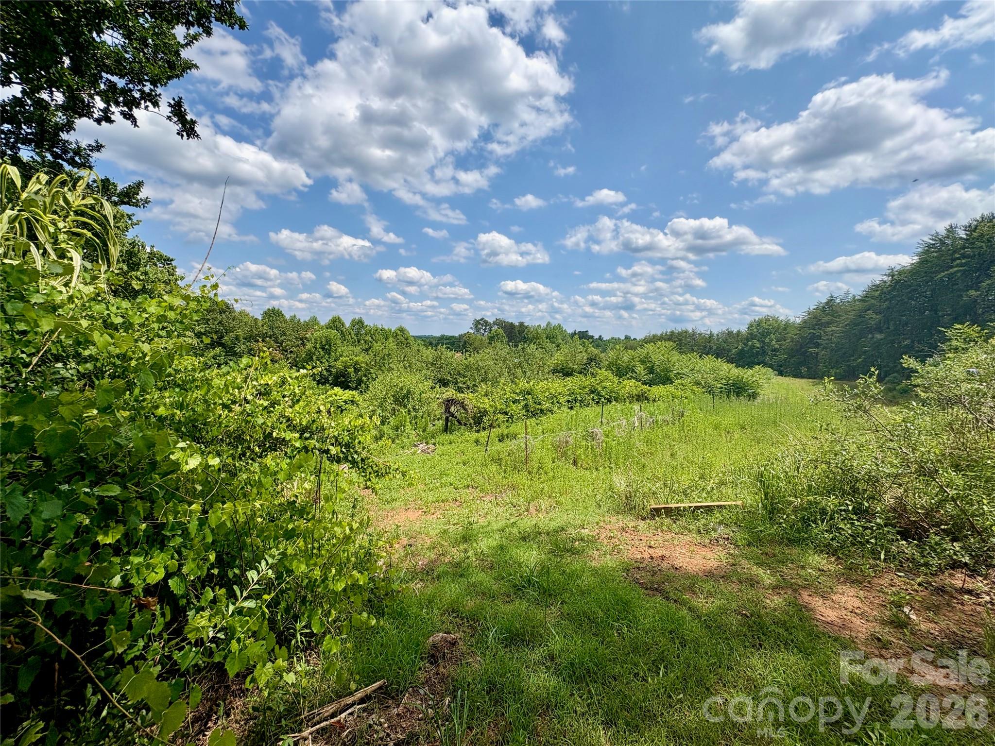 1812 Freemantown Road Property Photo 4