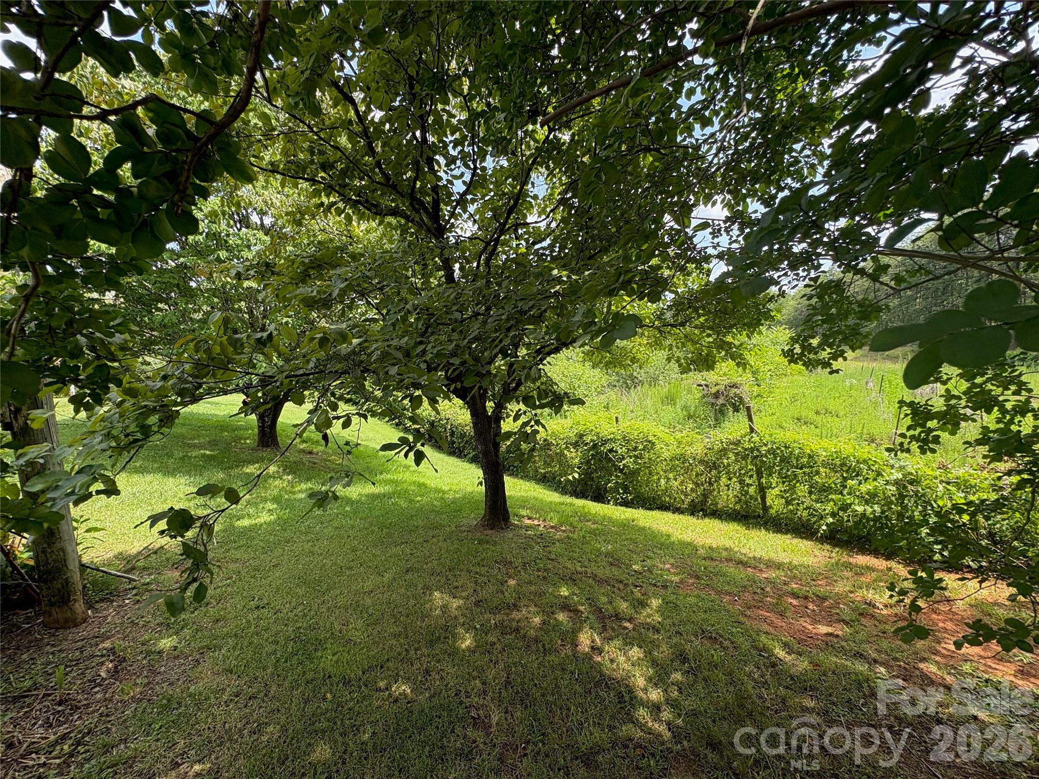 1812 Freemantown Road Property Photo 31