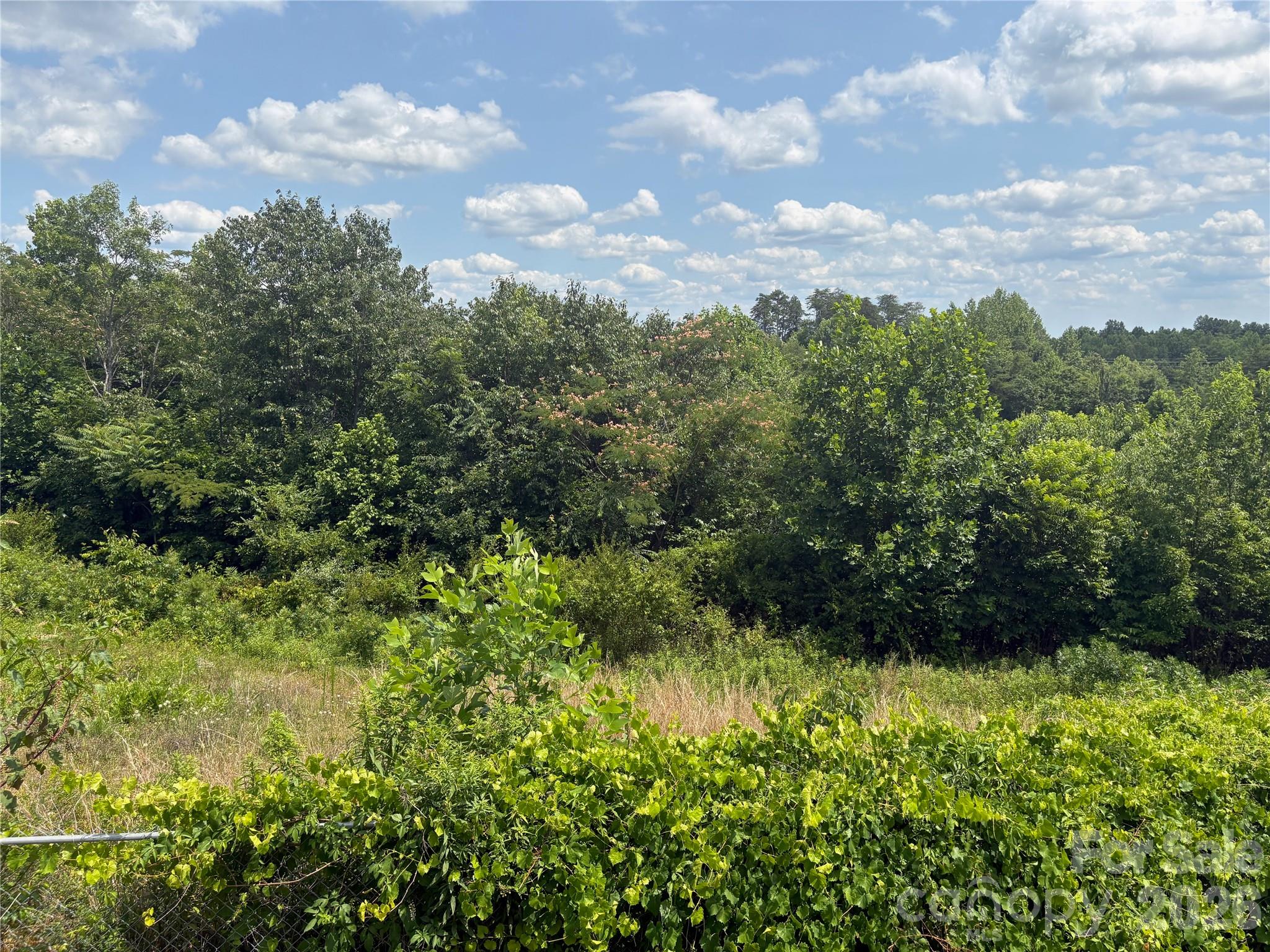 1812 Freemantown Road Property Photo 32