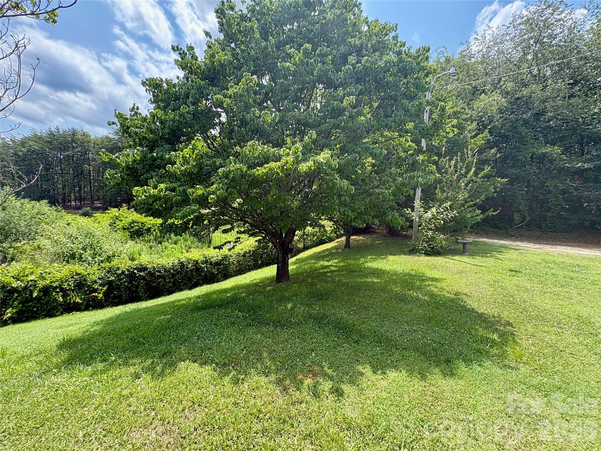 1812 Freemantown Road Property Photo 34