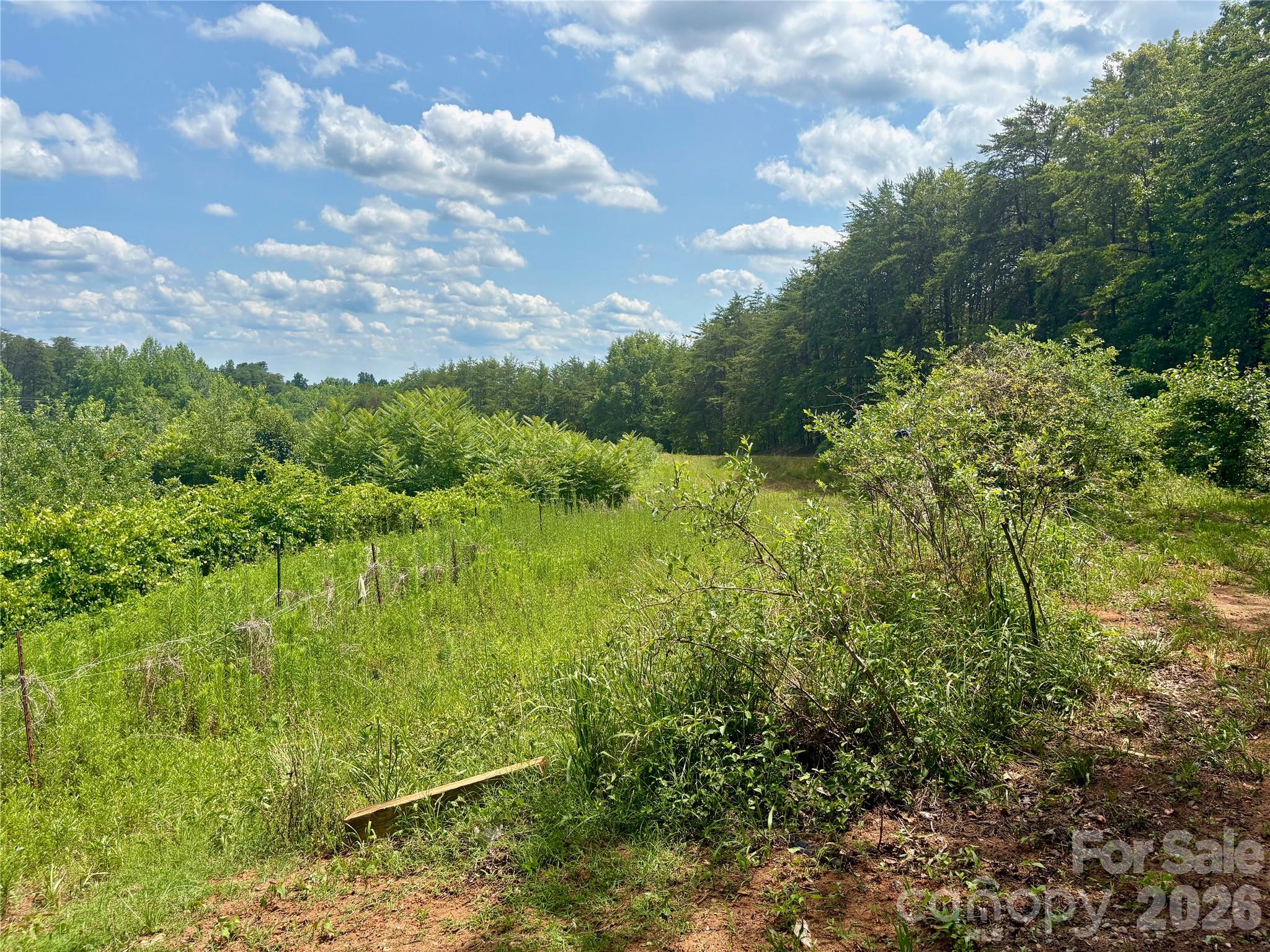 1812 Freemantown Road Property Photo 36