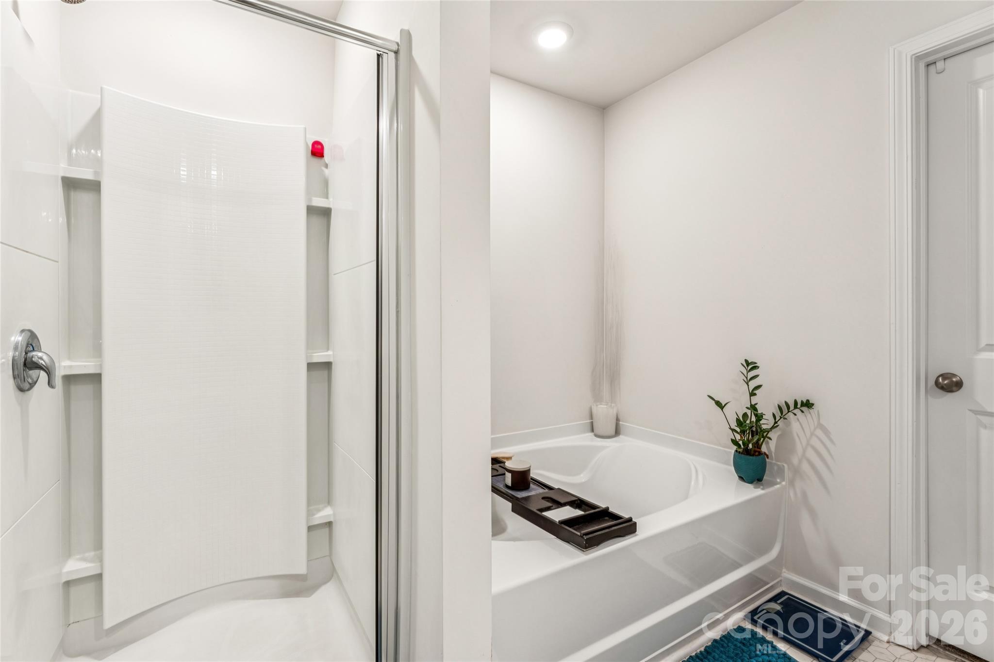 162 Giant Oak Avenue Property Photo 13