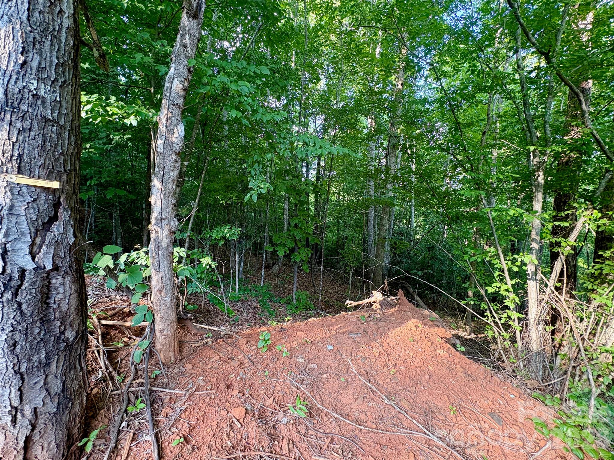 289 Champange Ridge Property Photo 3