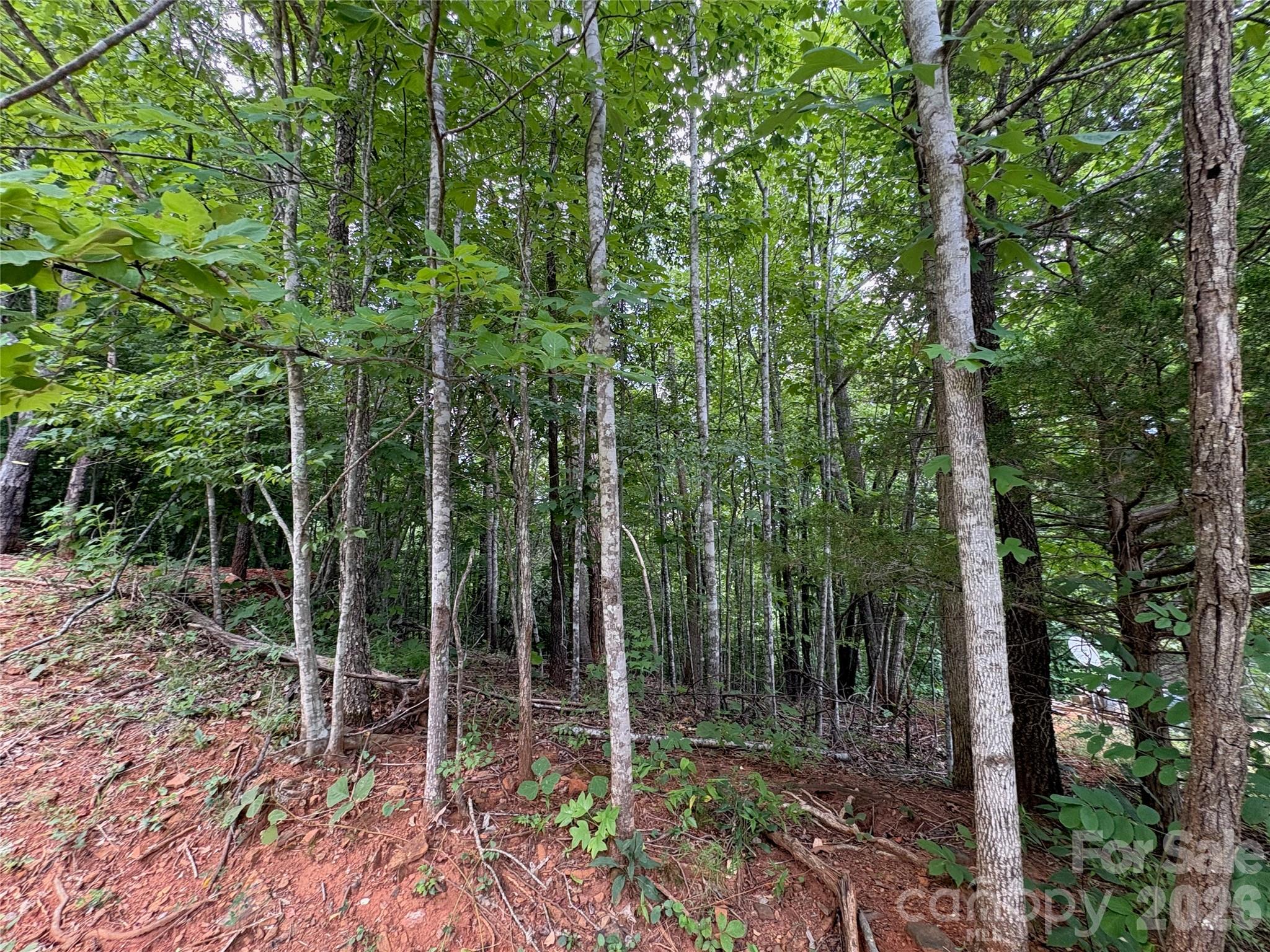 289 Champange Ridge Property Photo 5