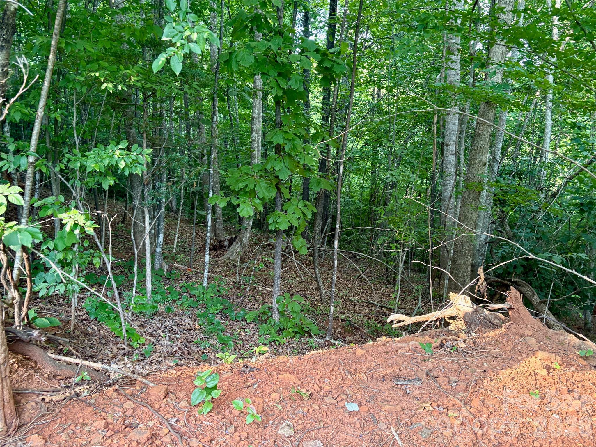 289 Champange Ridge Property Photo 7