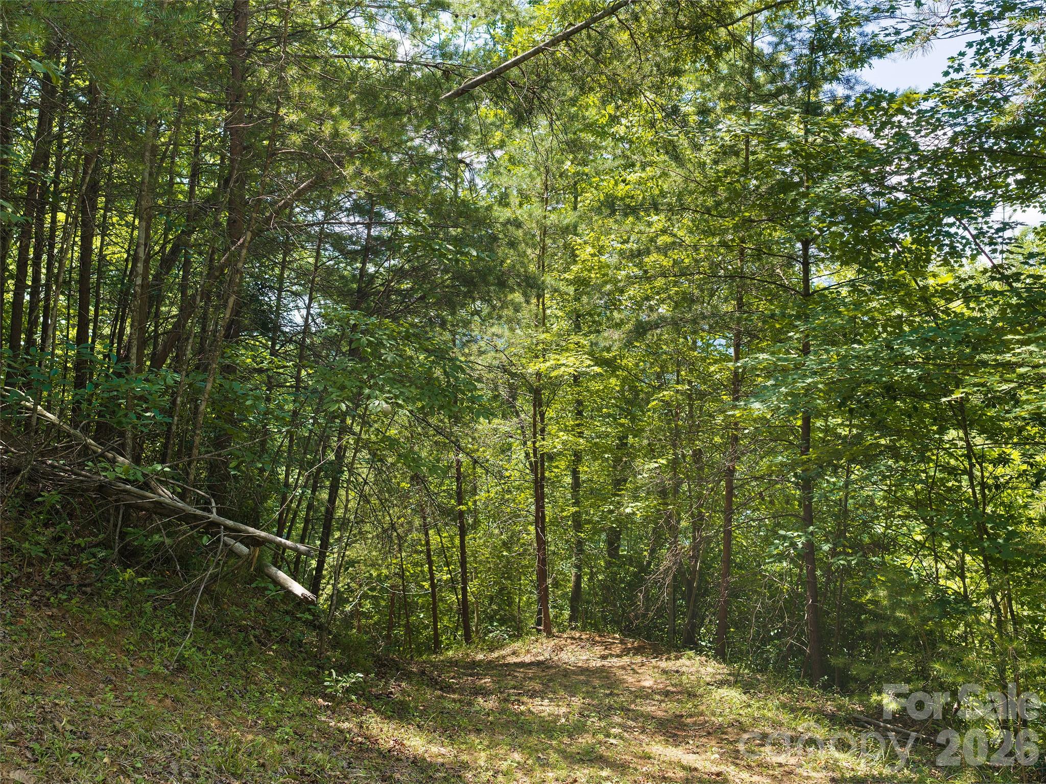 Lot 3 Loggers Pass Lane Property Photo 3