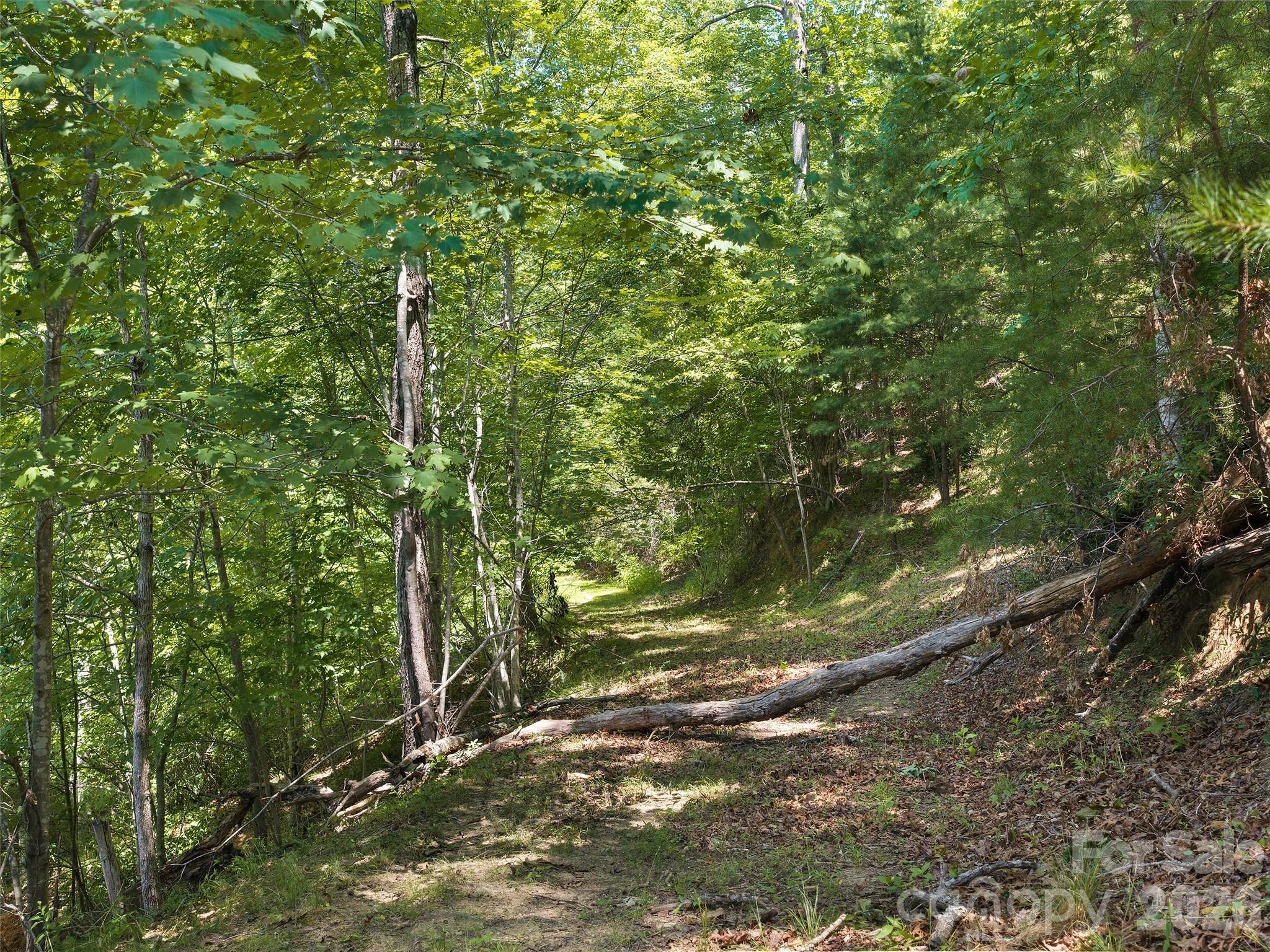 Lot 3 Loggers Pass Lane Property Photo 4