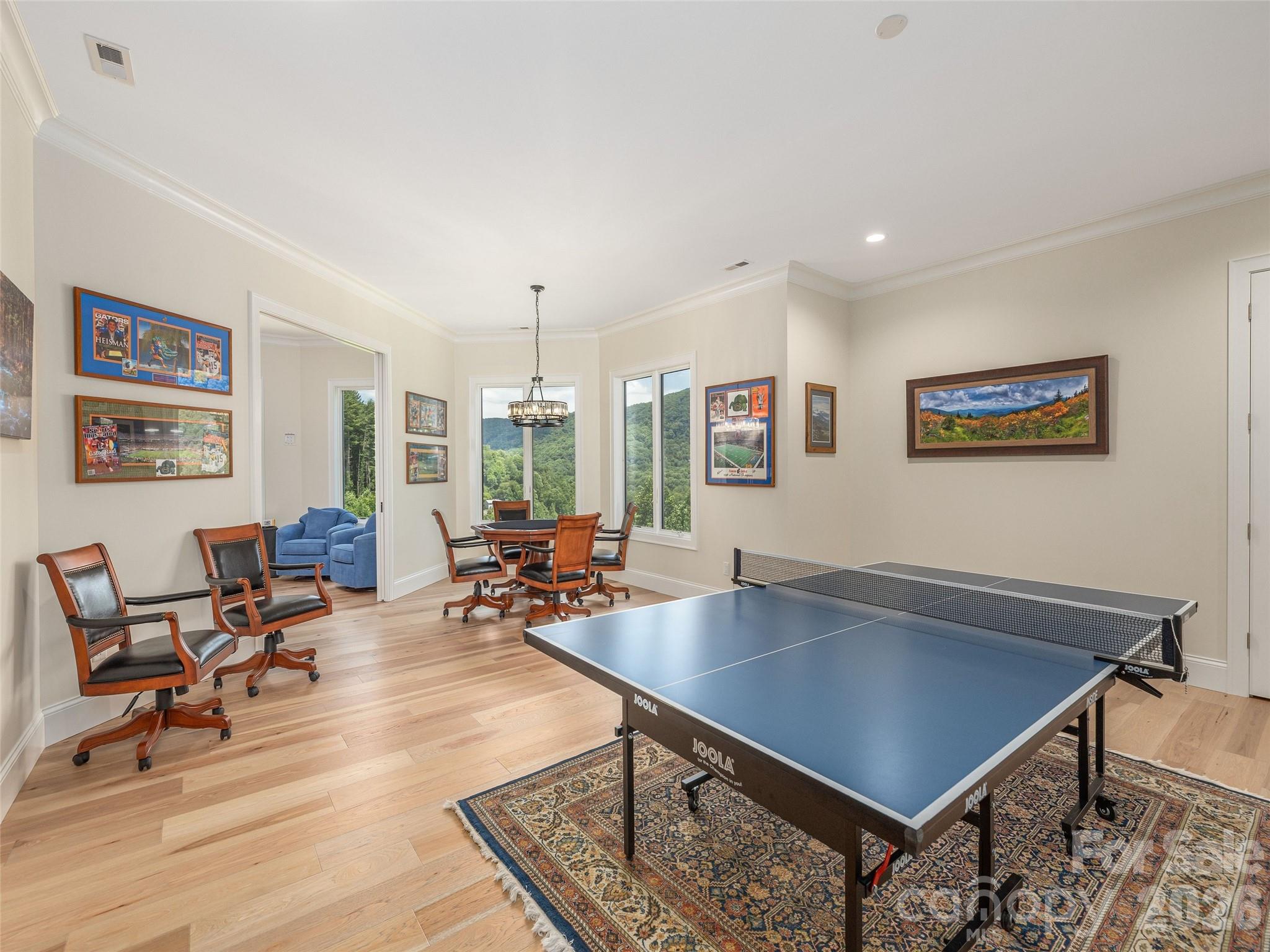167 Southpoint Ridge Property Photo 19