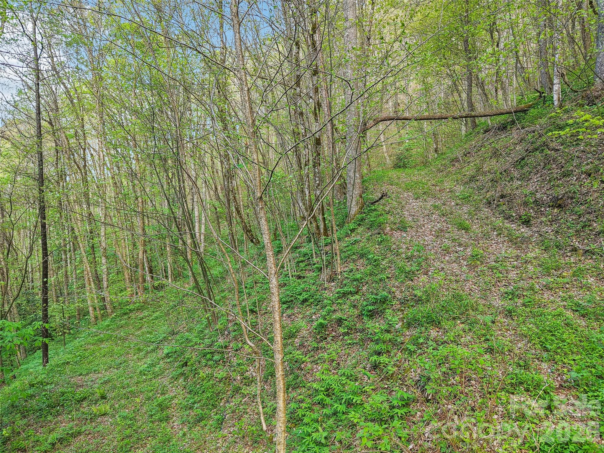 00 Star Crest Drive Property Photo 3
