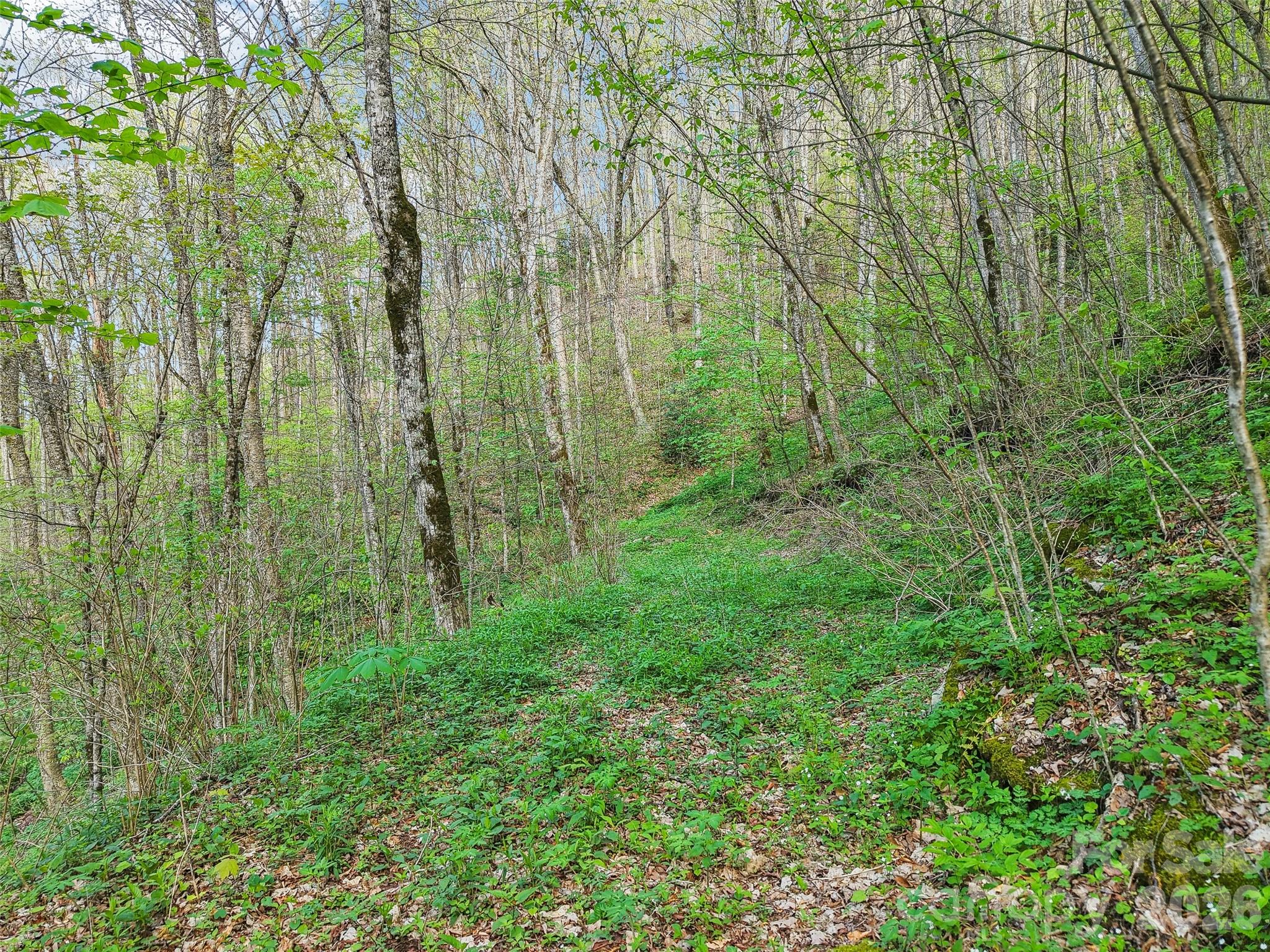 00 Star Crest Drive Property Photo 9