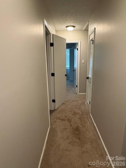 31 Spring Forest Circle Property Photo 7