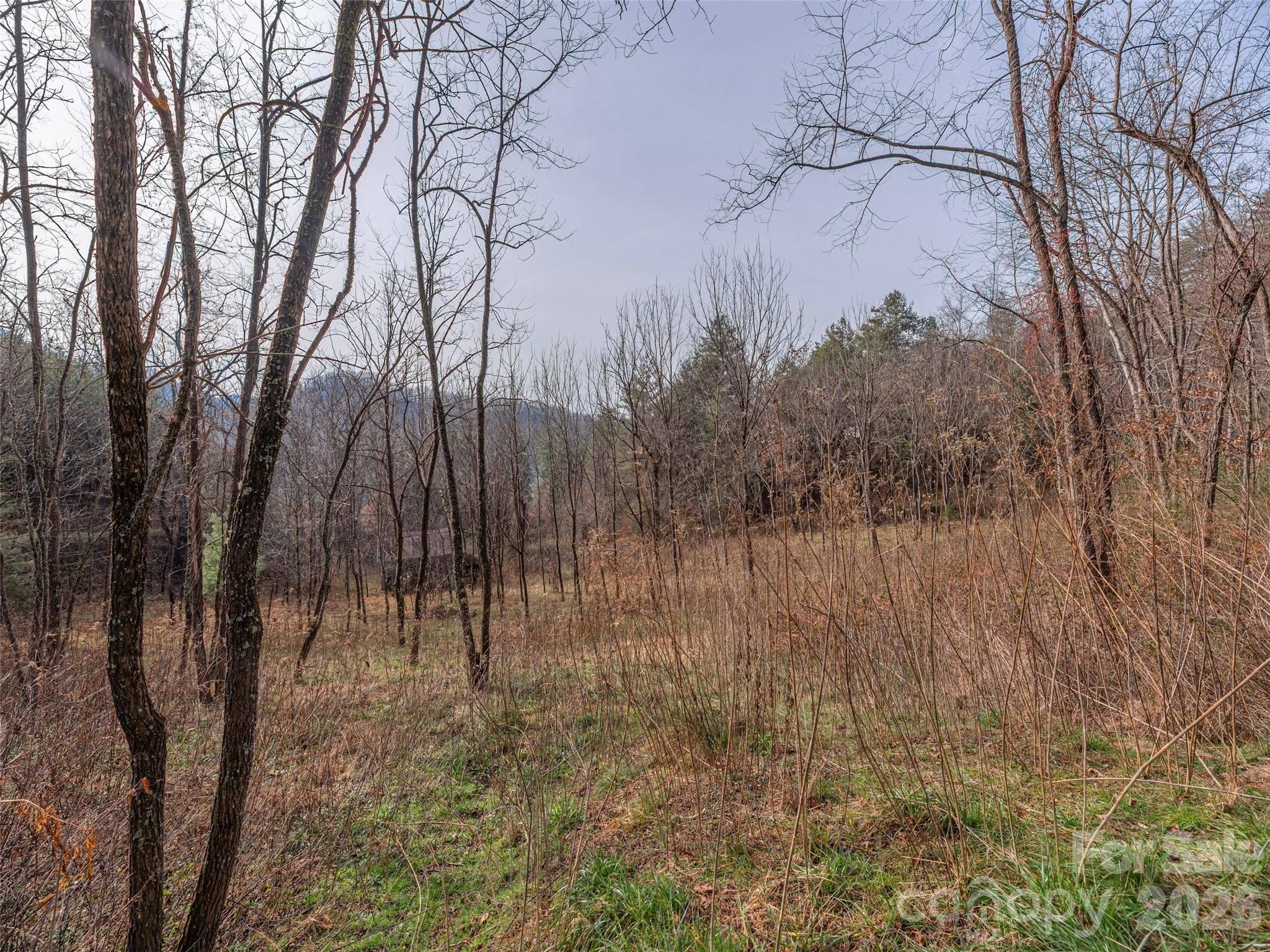 Lot 31 Hooper Cemetery Road Property Photo 8
