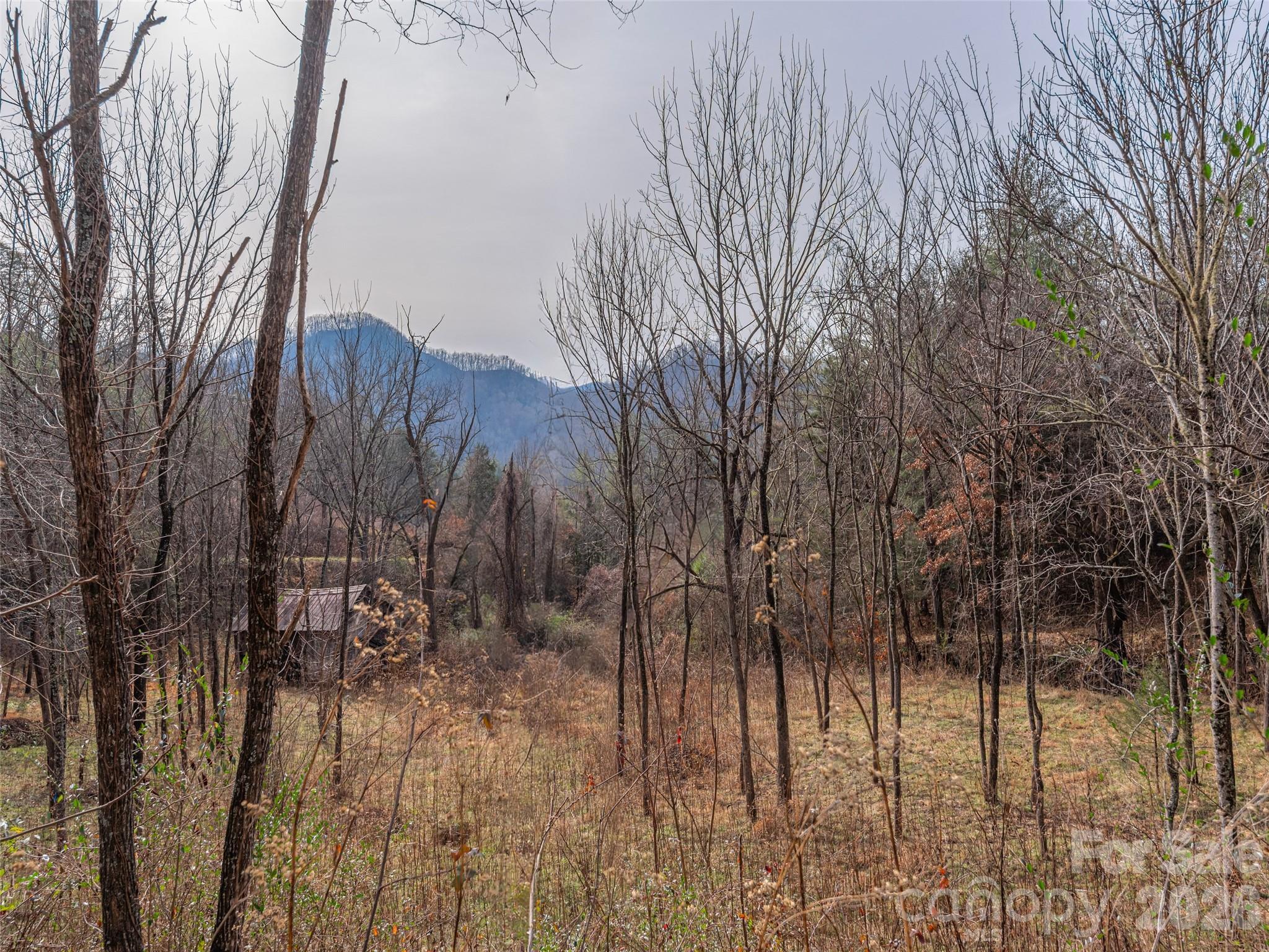 Lot 31 Hooper Cemetery Road Property Photo 11