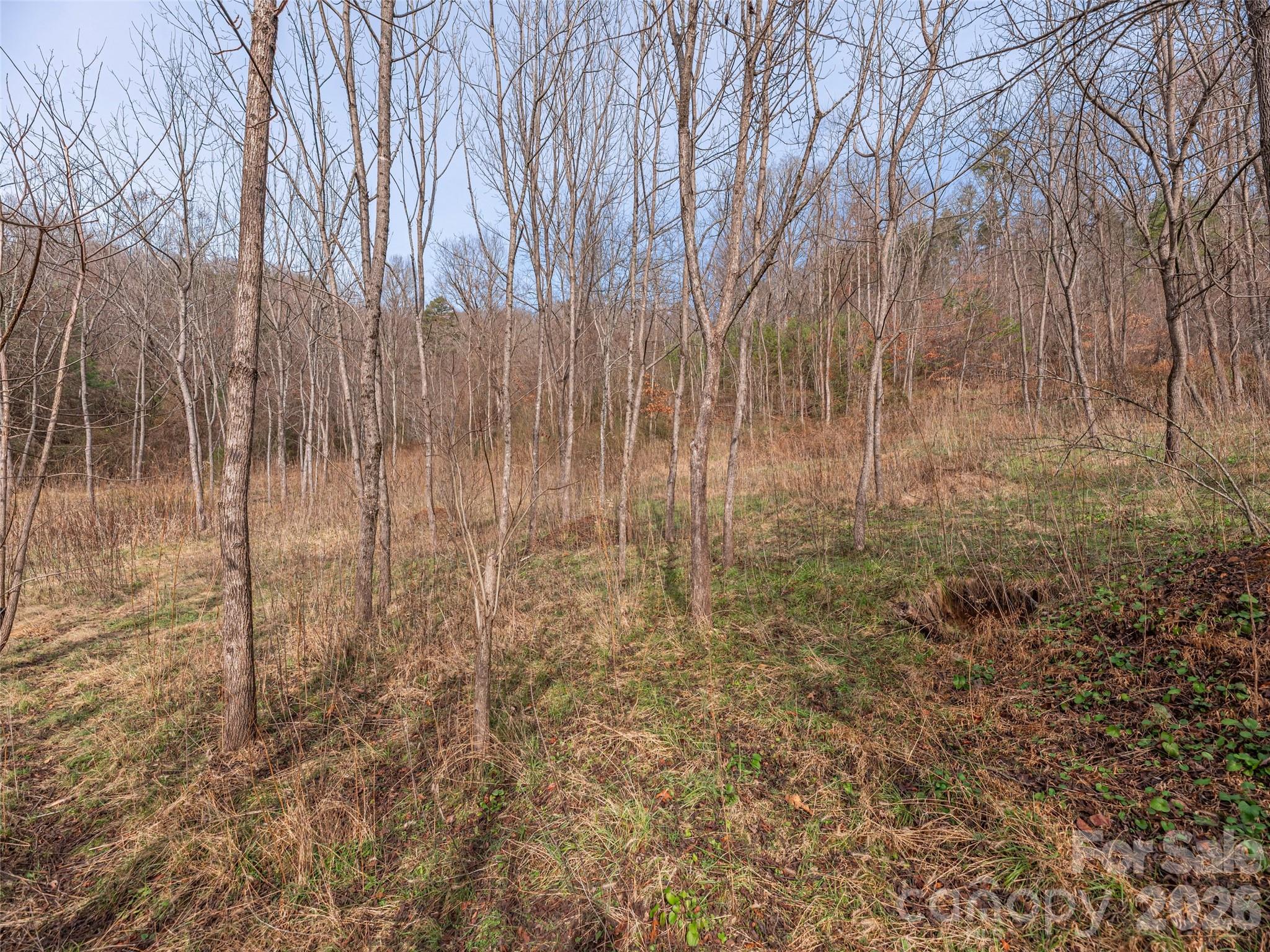 Lot 31 Hooper Cemetery Road Property Photo 14