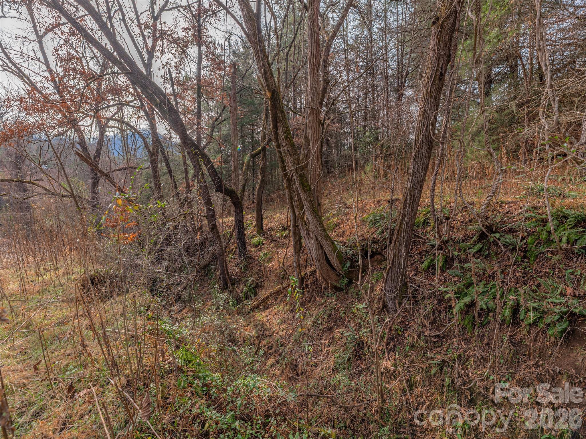 Lot 31 Hooper Cemetery Road Property Photo 16