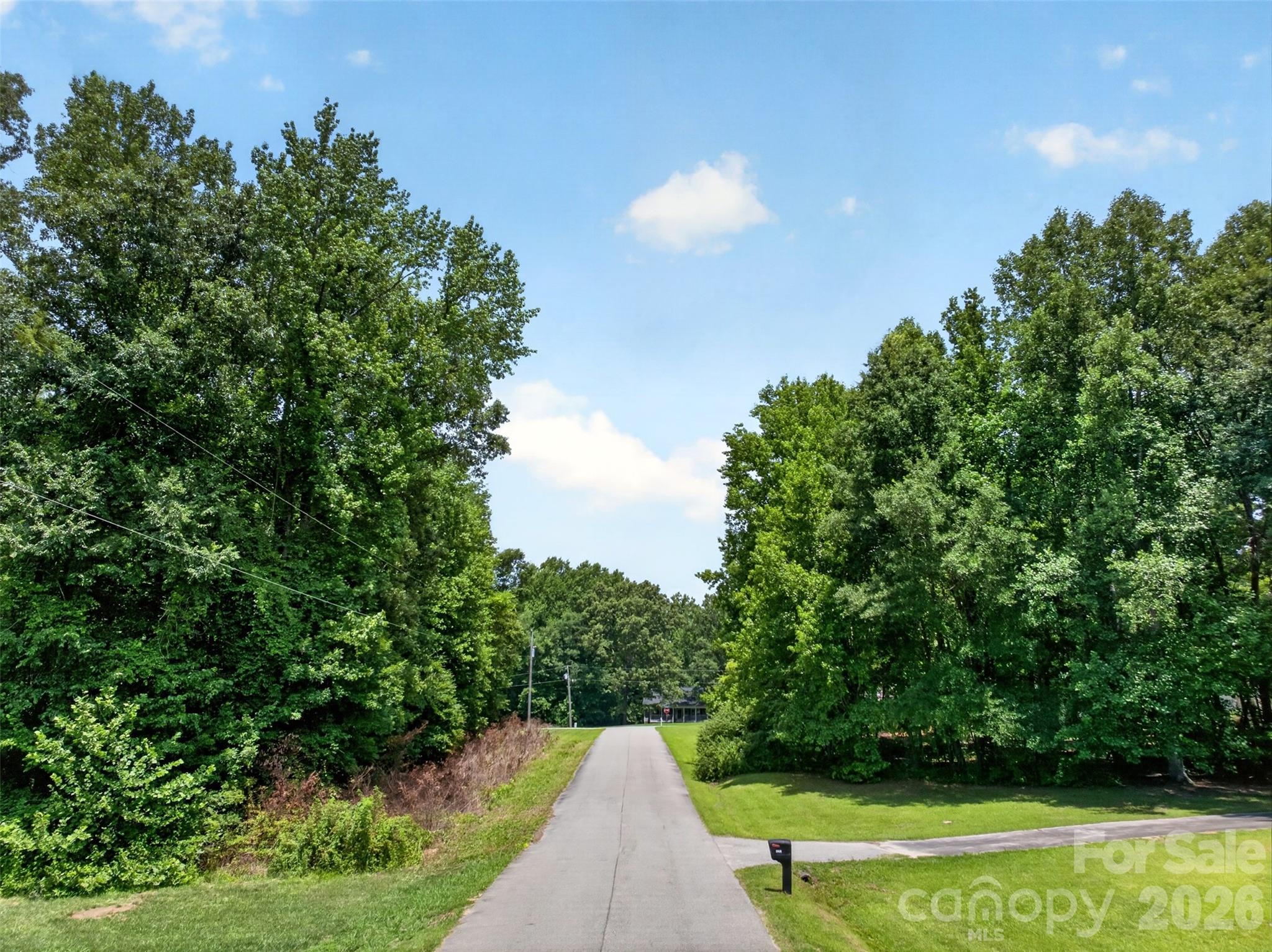 0000 Lazy Oak Drive Property Photo 3