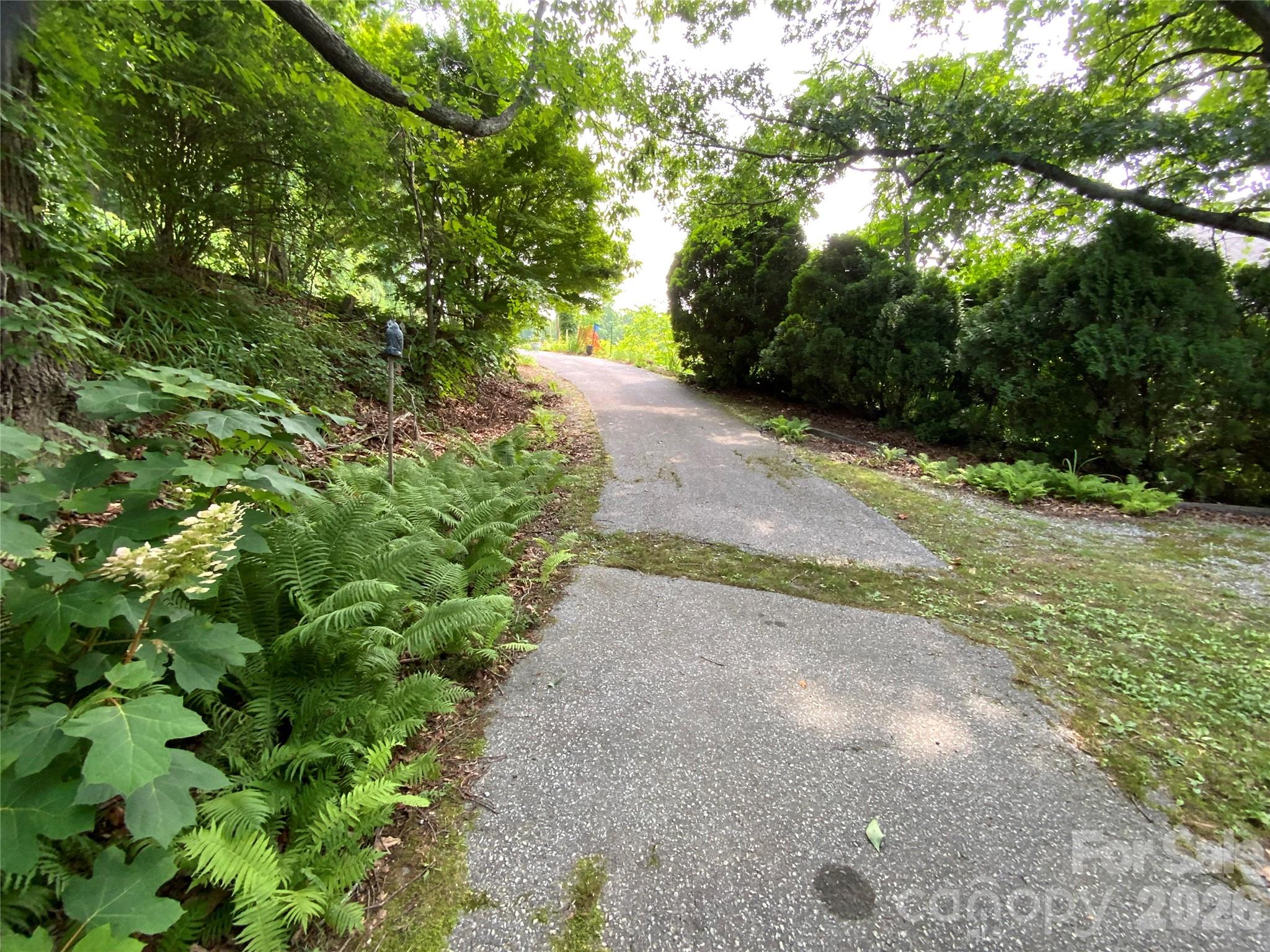 58 Seminary Street Property Photo 14