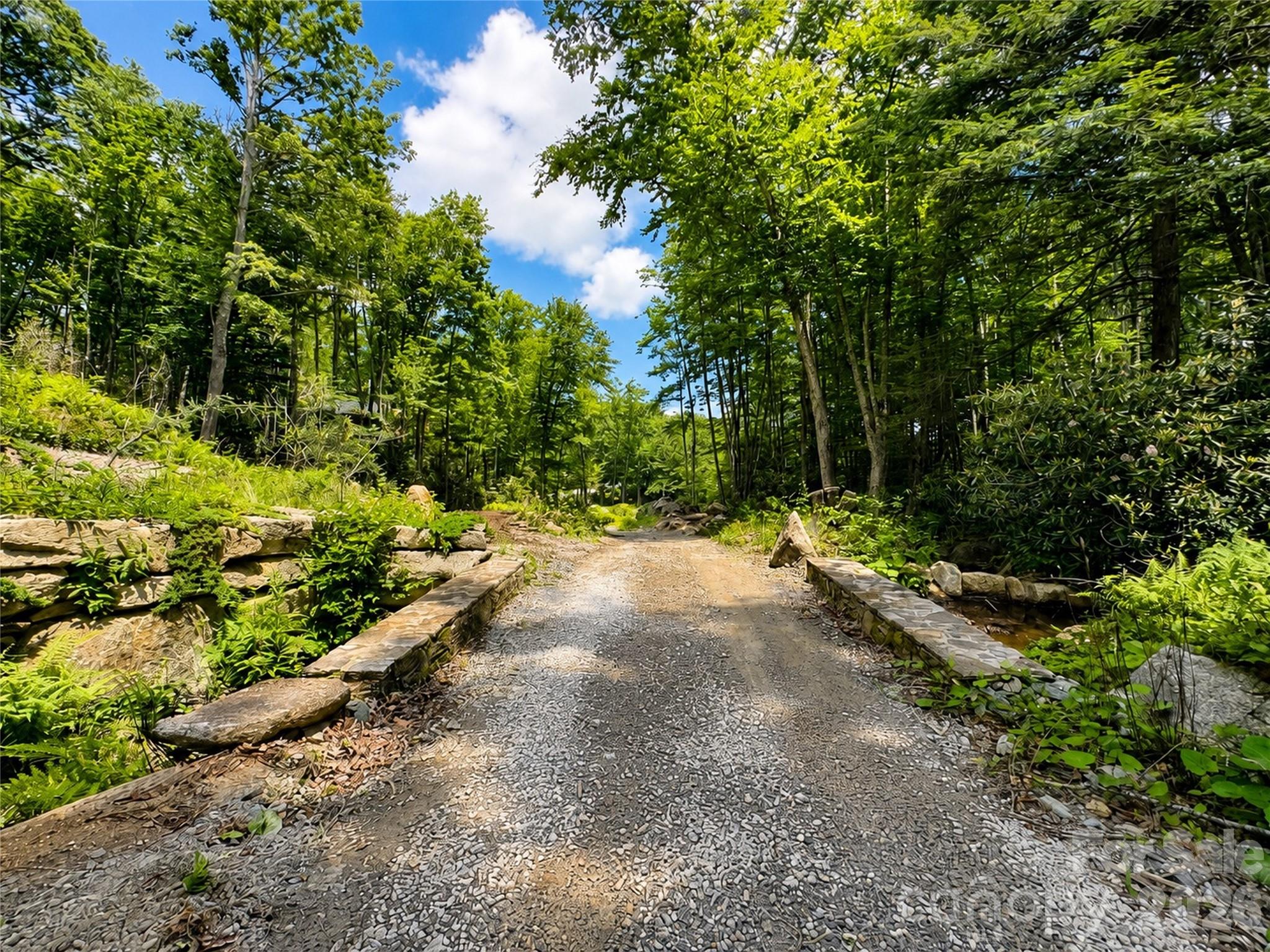 Lot 96 Eagles Nest Trail Property Photo 1