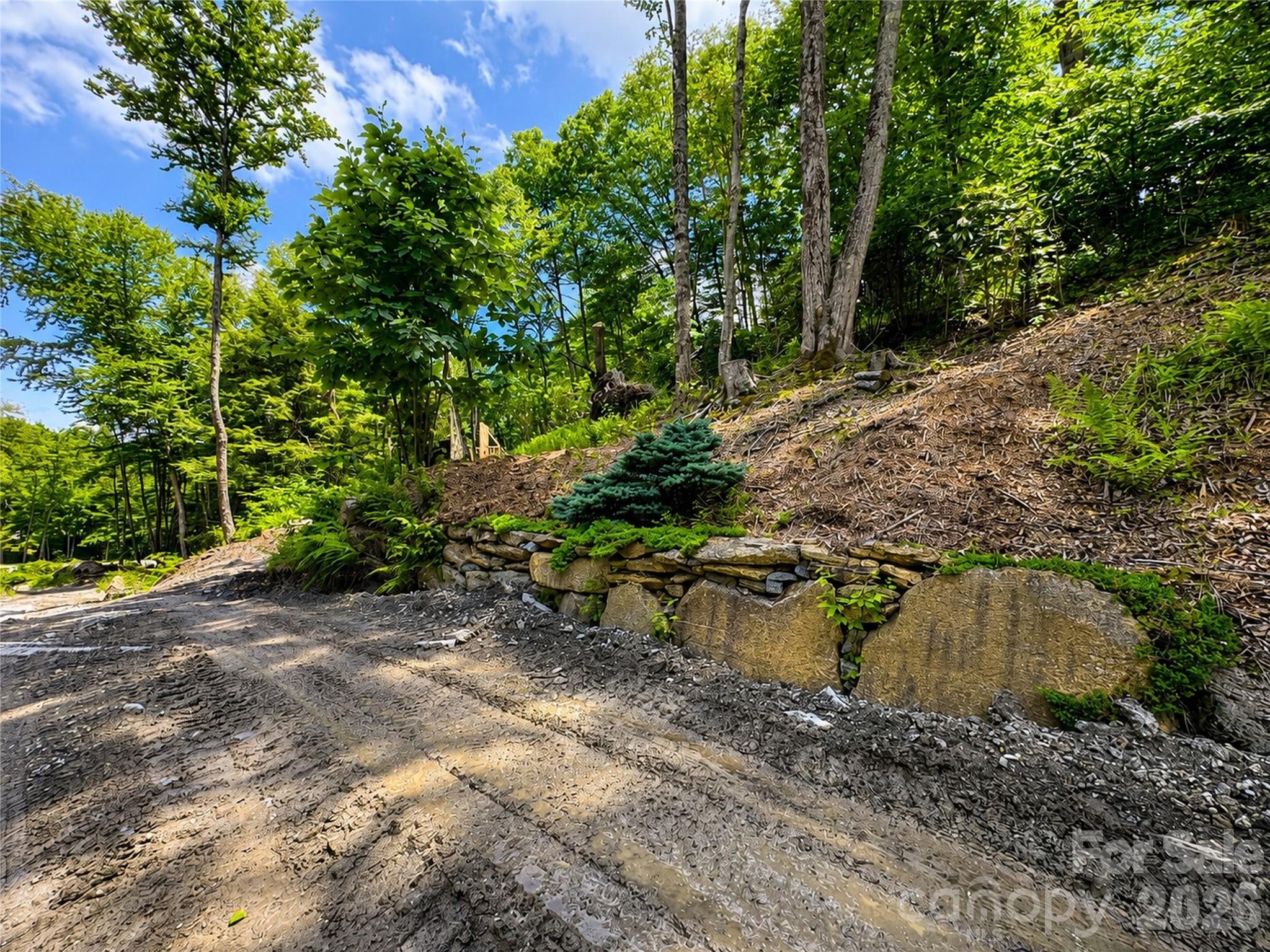 Lot 96 Eagles Nest Trail Property Photo 3