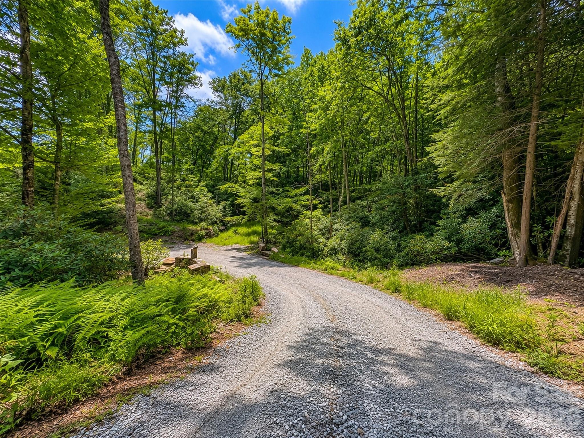 Lot 96 Eagles Nest Trail Property Photo 5