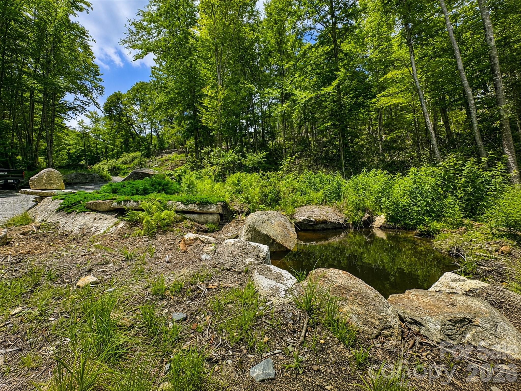 Lot 96 Eagles Nest Trail Property Photo 6