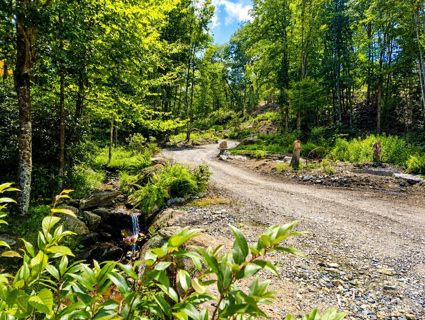 Lot 96 Eagles Nest Trail Property Photo 7
