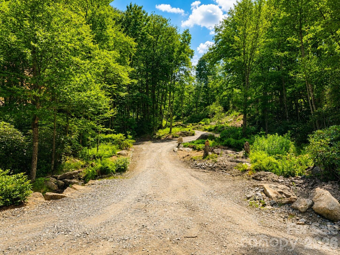 Lot 96 Eagles Nest Trail Property Photo 8
